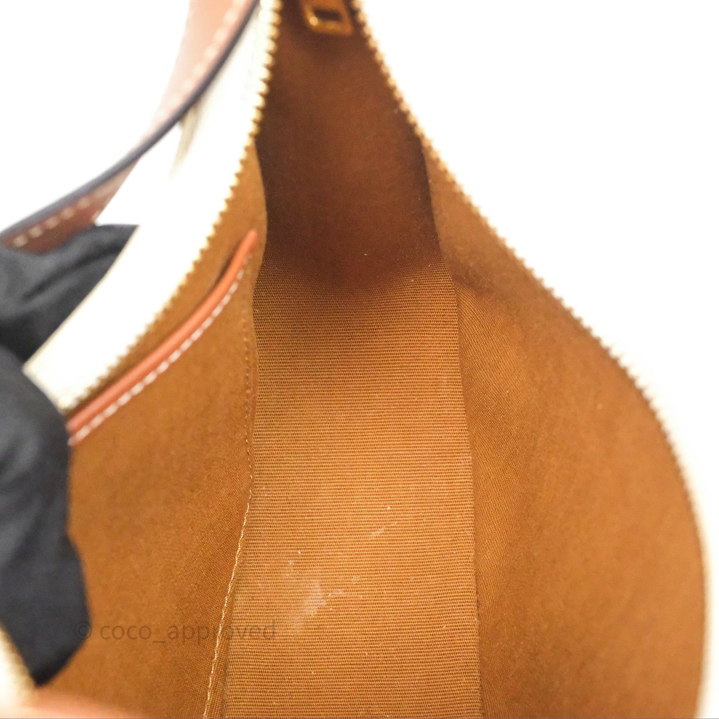 Celine Ava Bag In Triomphe Canvas Calfskin White
