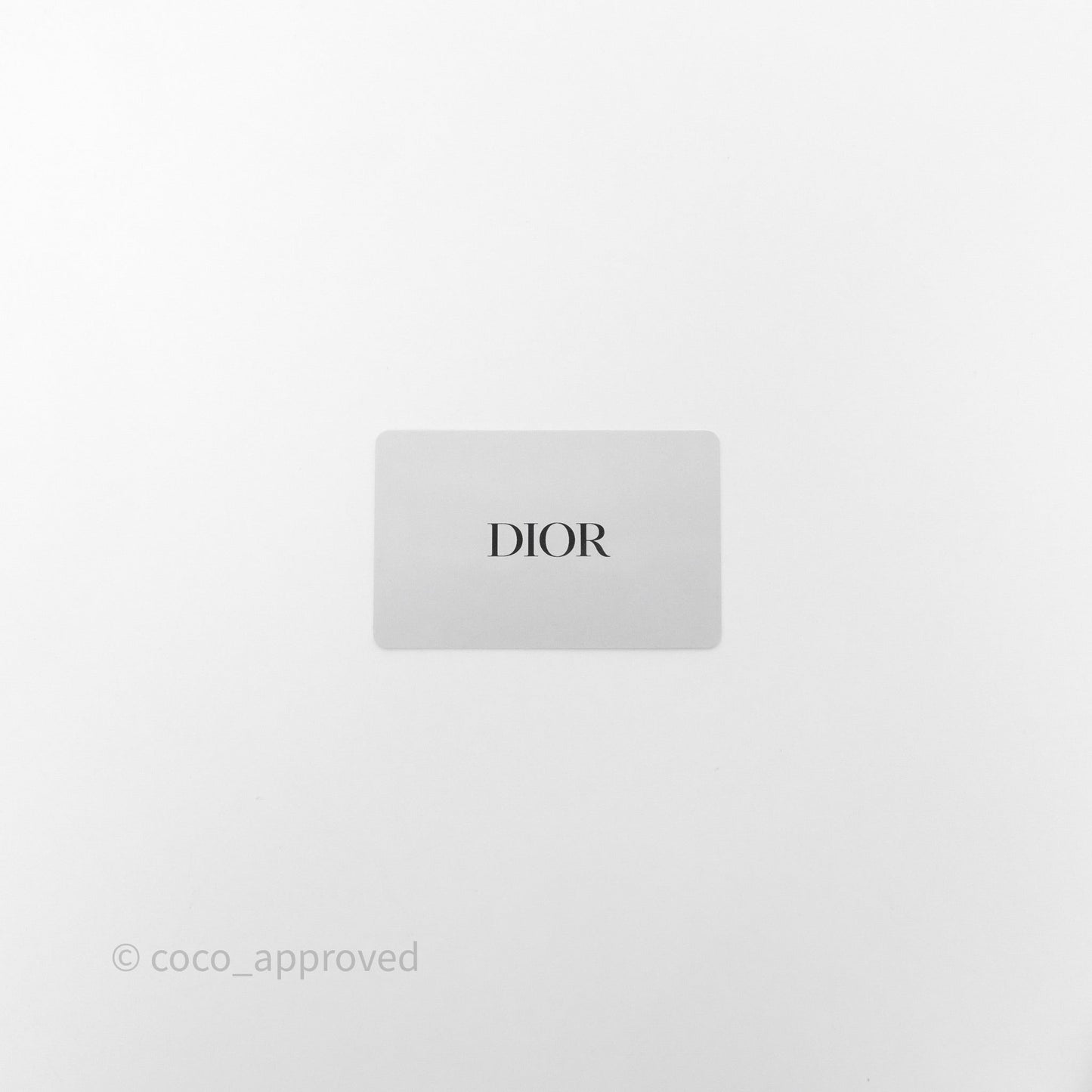 Christian Dior Large Pixel Zodiac Book Tote Bag White