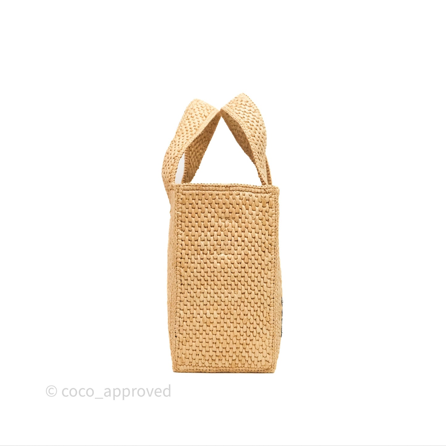Loewe Small Font Tote In Raffia
