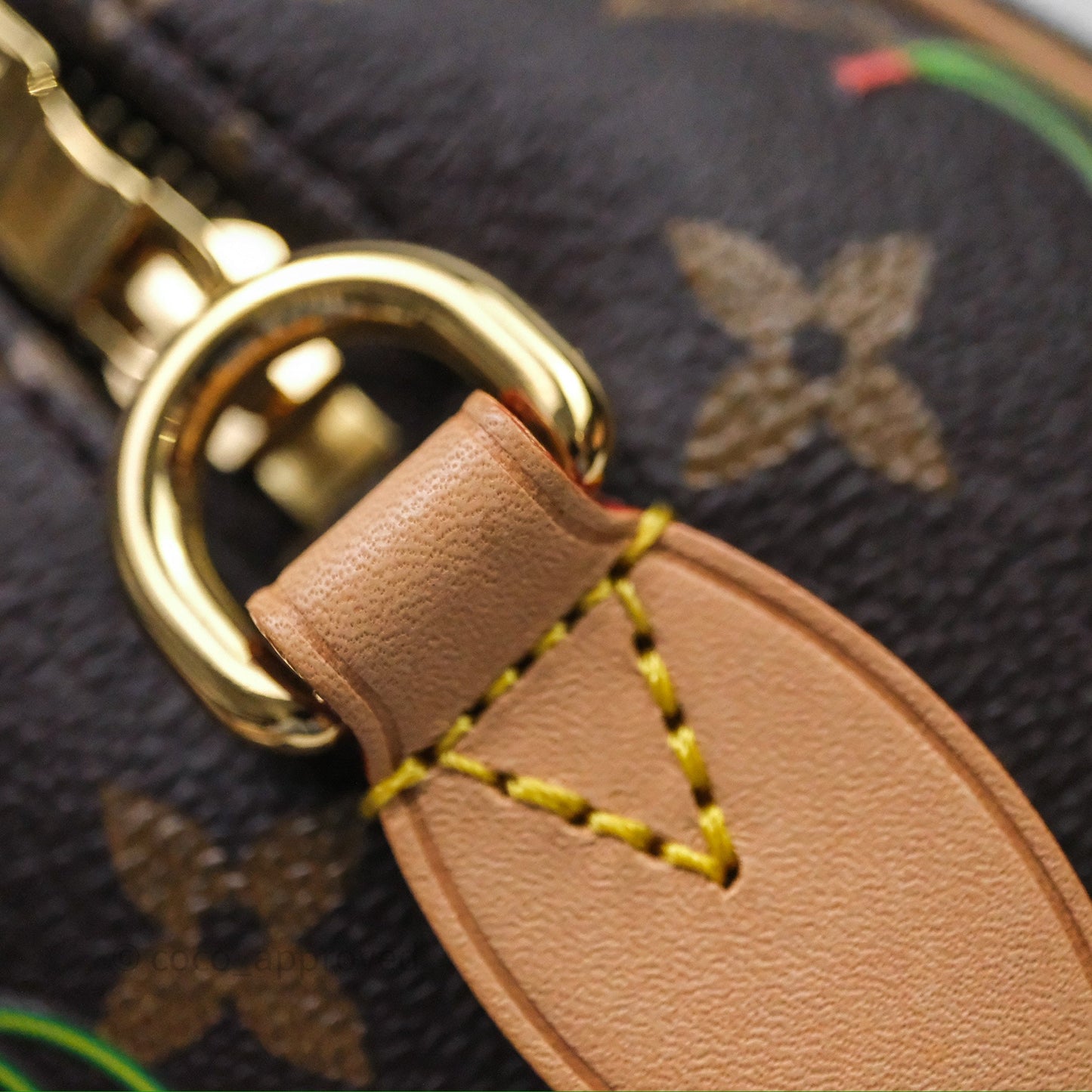 LV x TM Speedy Bandoulière 20 Monogram Cherry Coated Canvas