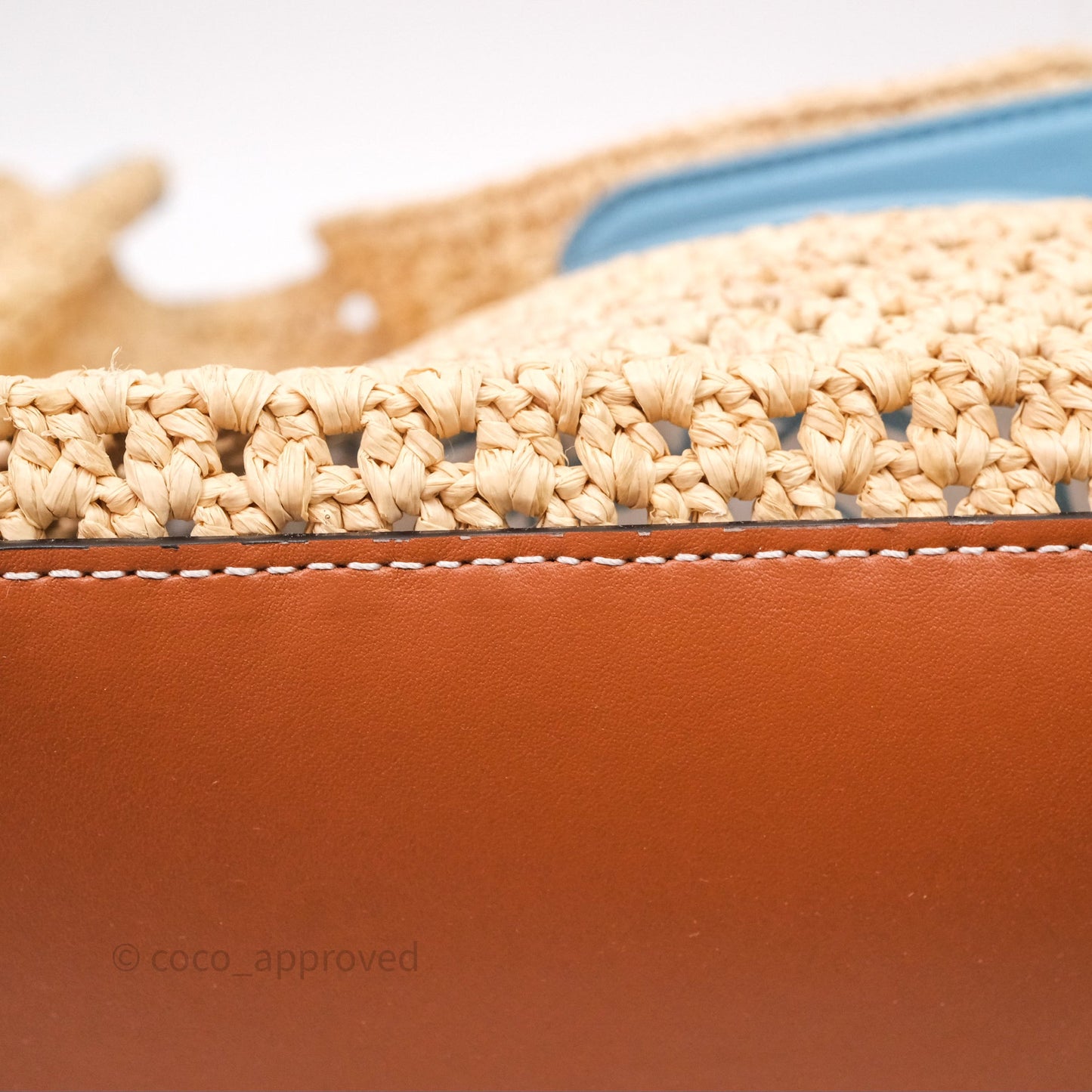 Louis Vuitton OnTheGo MM Raffia Natural