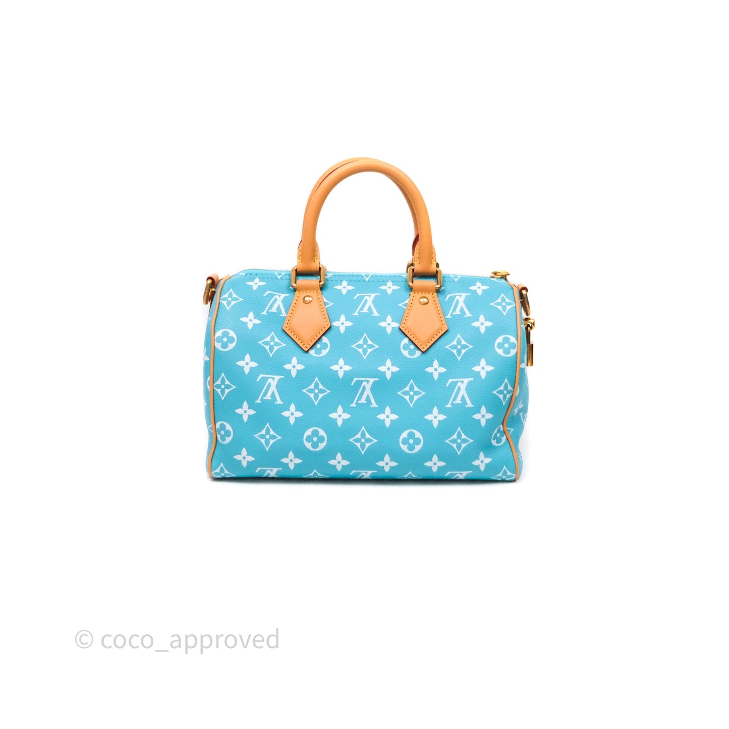 Louis Vuitton Speedy P9 Bandoulière 25 Turquoise