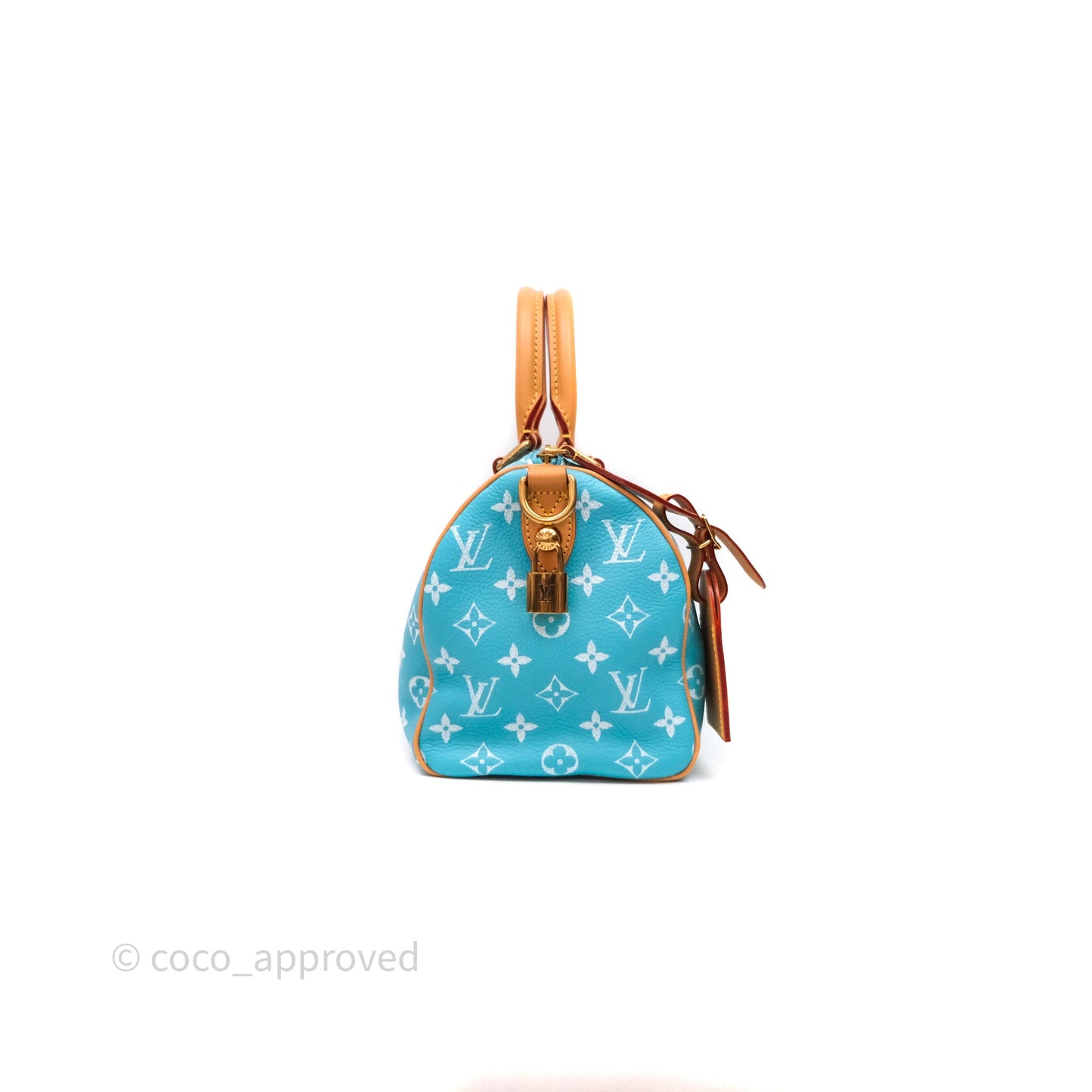 Louis Vuitton Speedy P9 Bandoulière 25 Turquoise