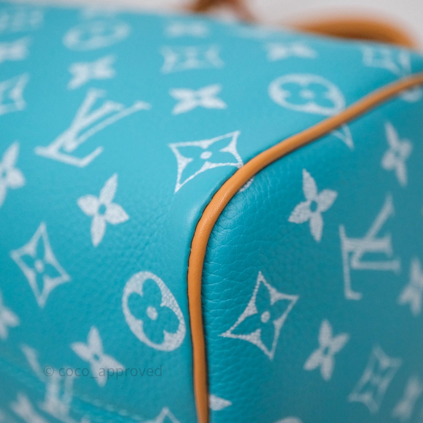 Louis Vuitton Speedy P9 Bandoulière 25 Turquoise