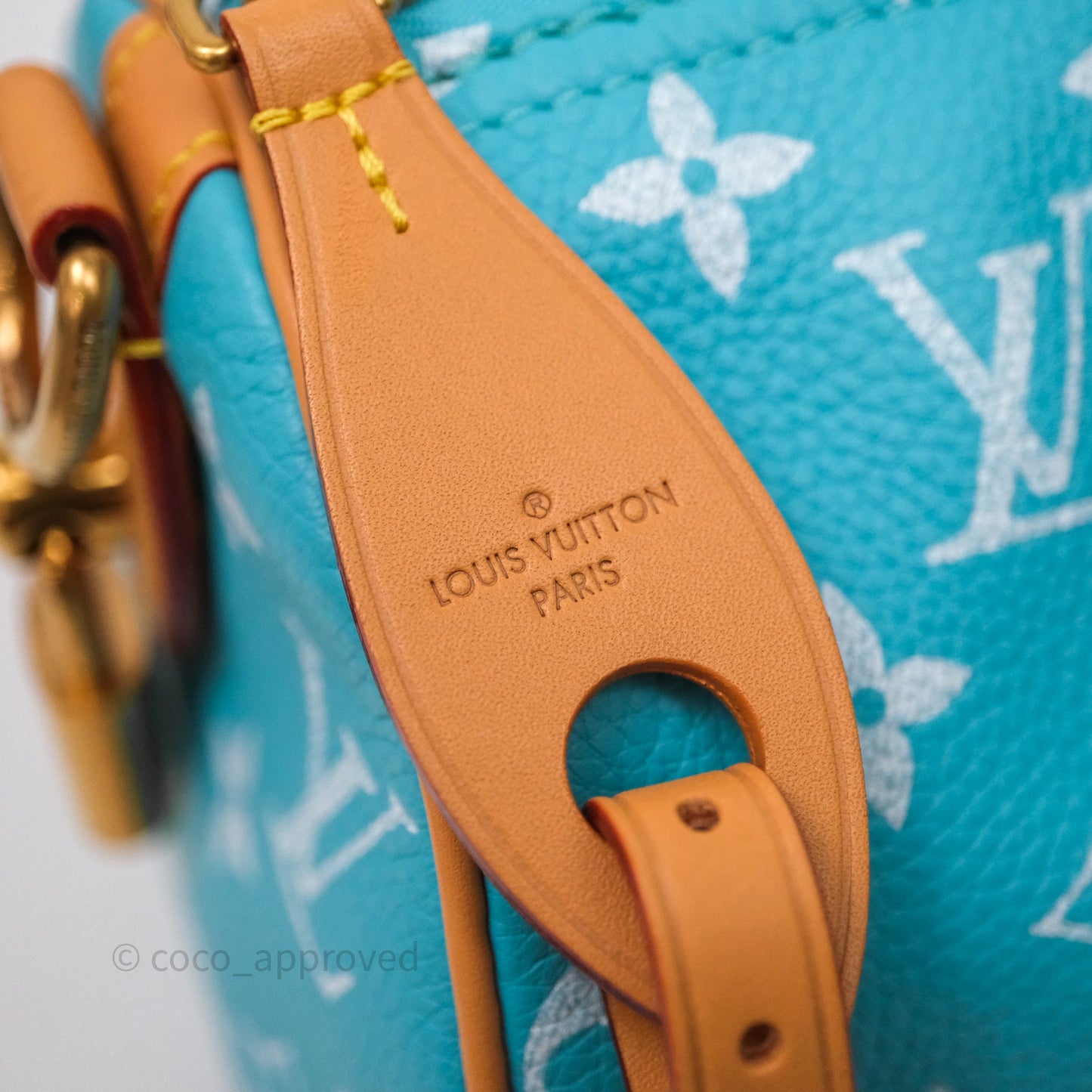 Louis Vuitton Speedy P9 Bandoulière 25 Turquoise