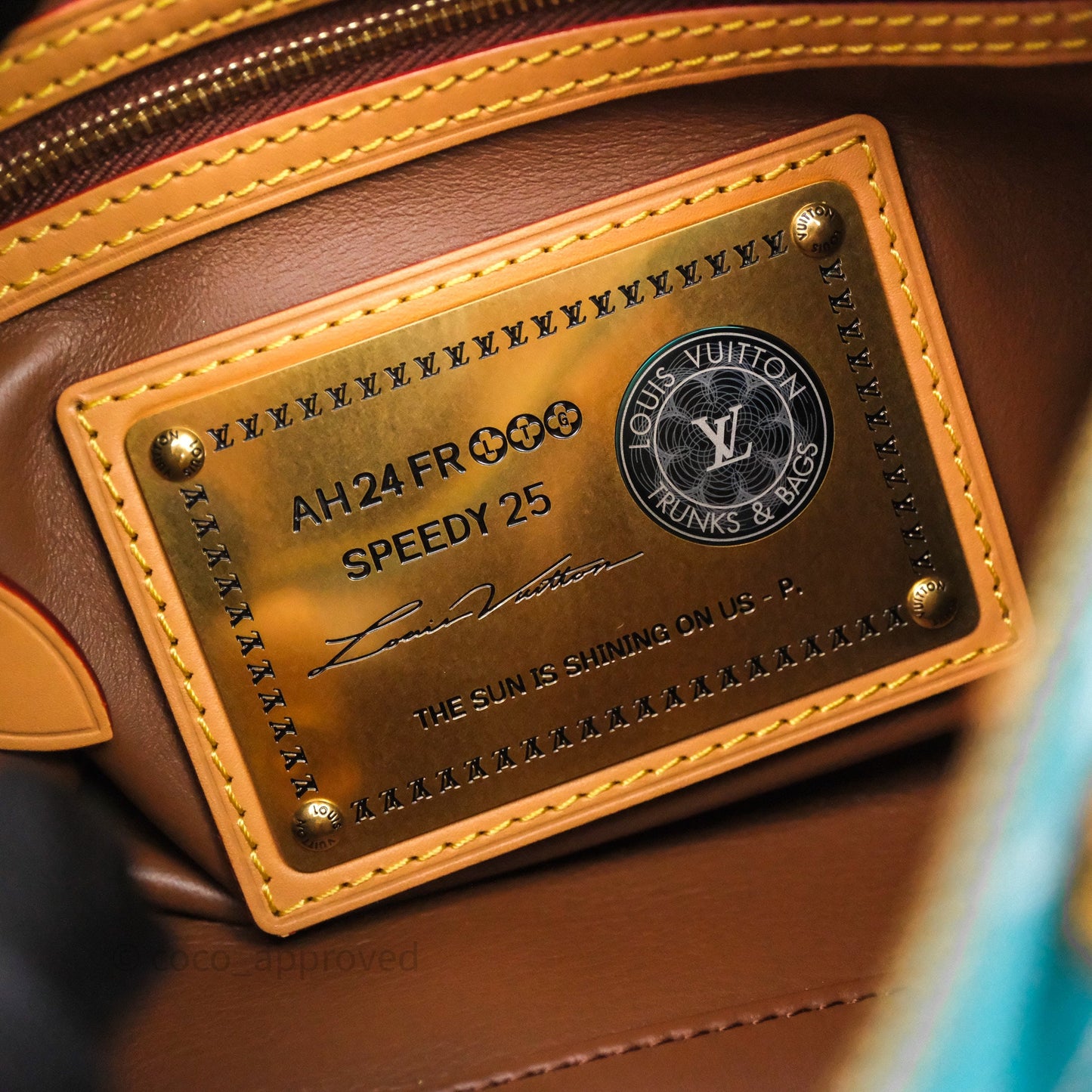 Louis Vuitton Speedy P9 Bandoulière 25 Turquoise