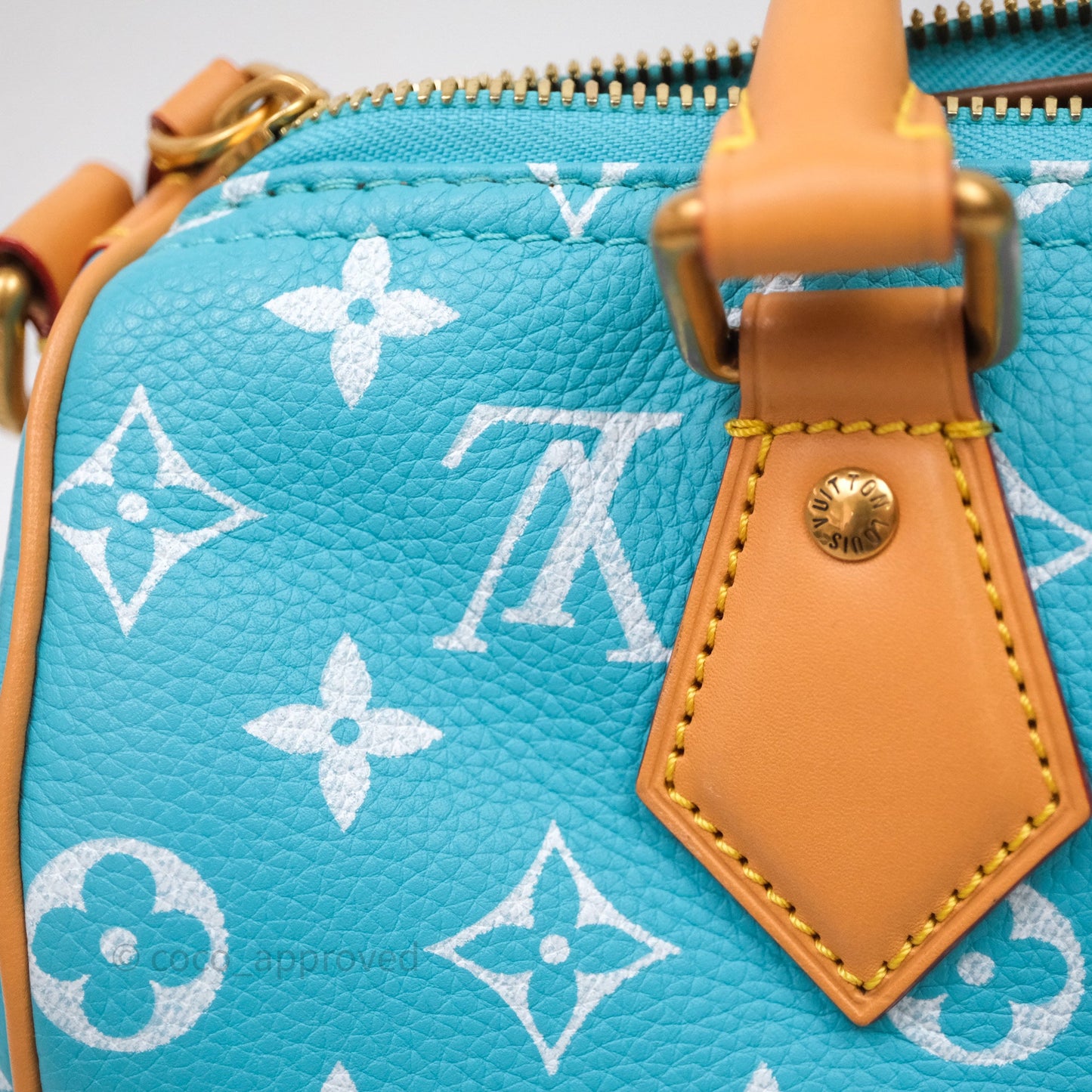 Louis Vuitton Speedy P9 Bandoulière 25 Turquoise