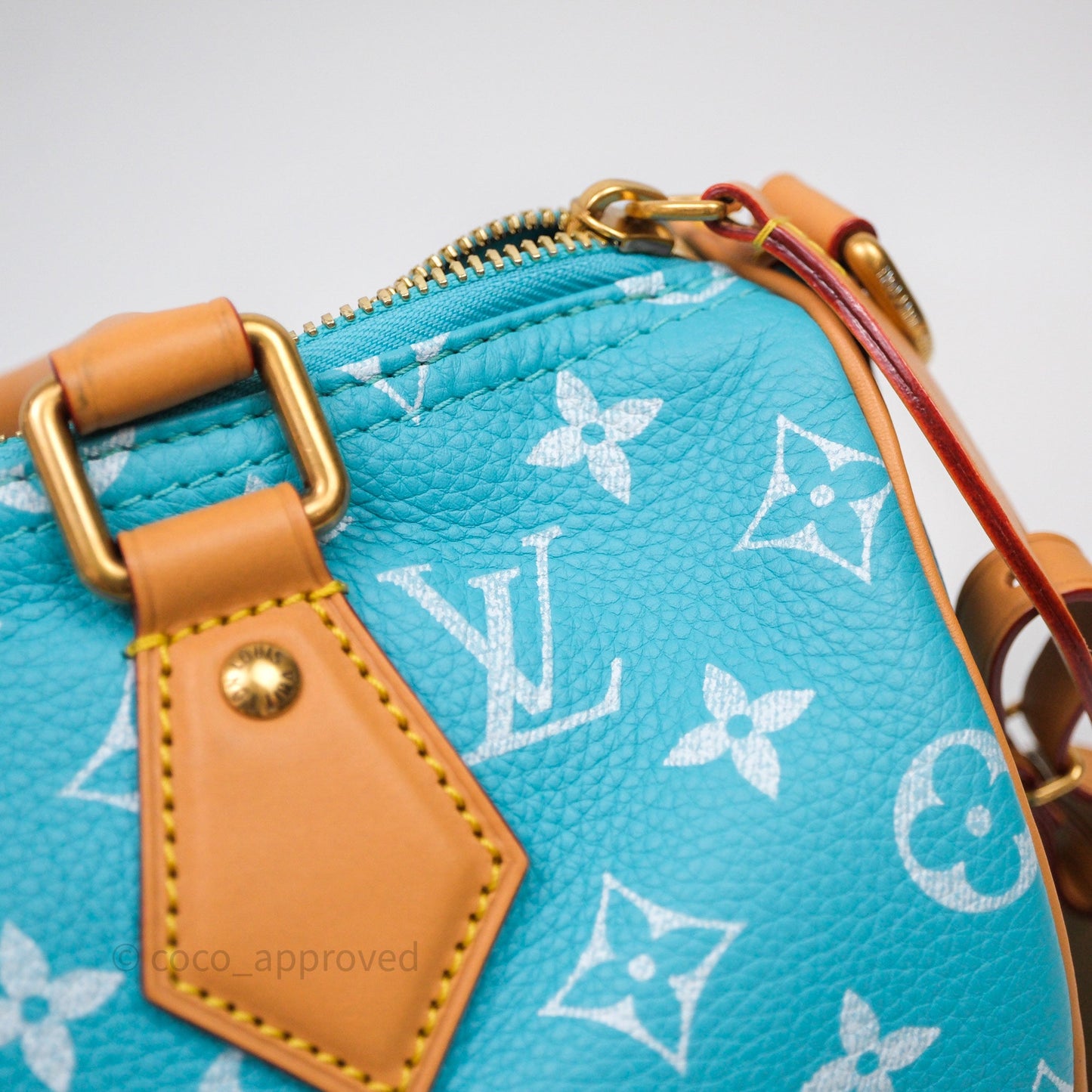 Louis Vuitton Speedy P9 Bandoulière 25 Turquoise