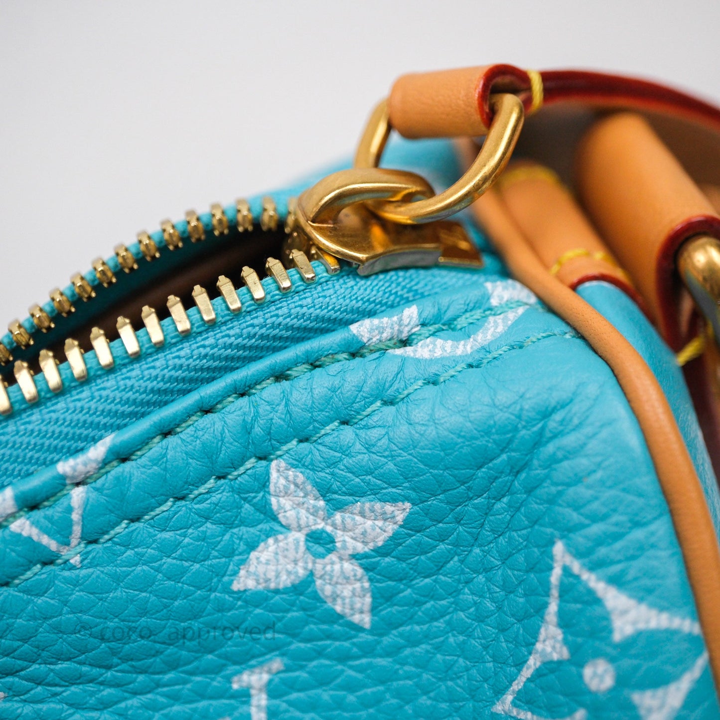 Louis Vuitton Speedy P9 Bandoulière 25 Turquoise