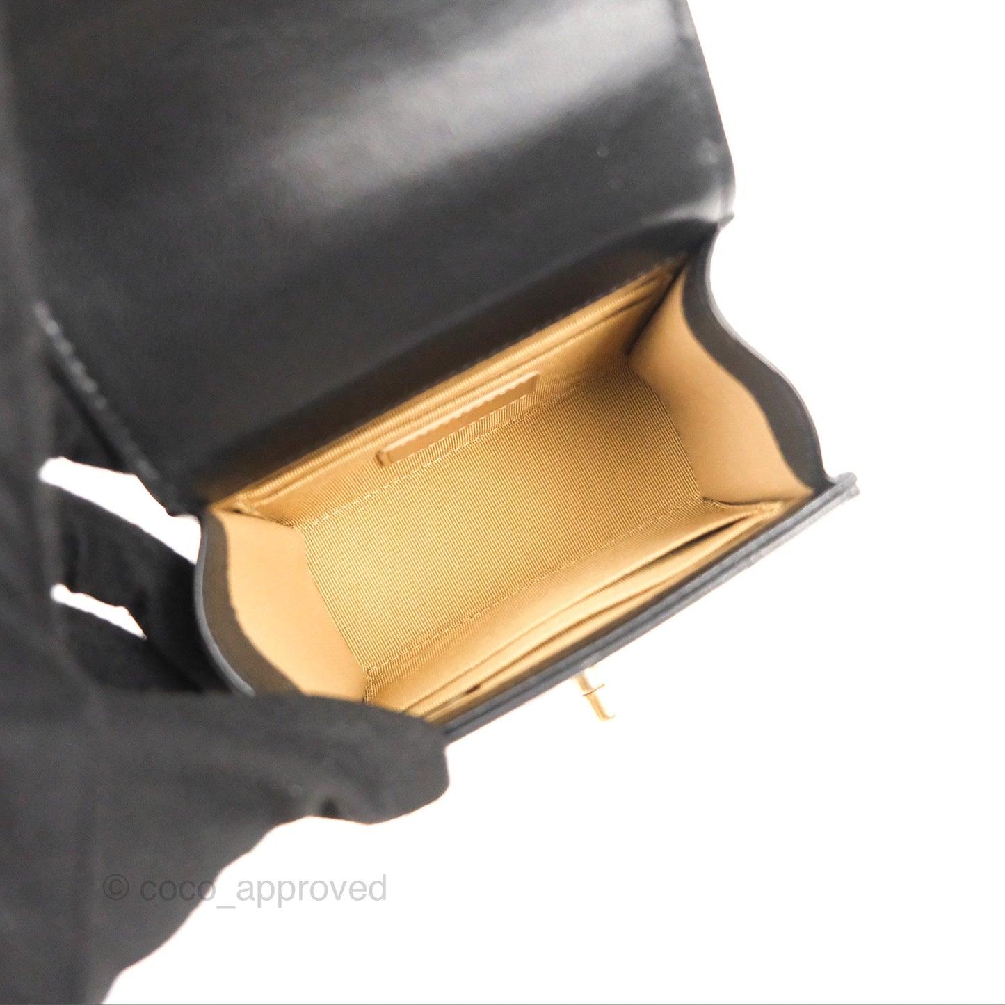 Chanel Mini Chic Pearls Flap Black Goatskin Aged Gold Hardware