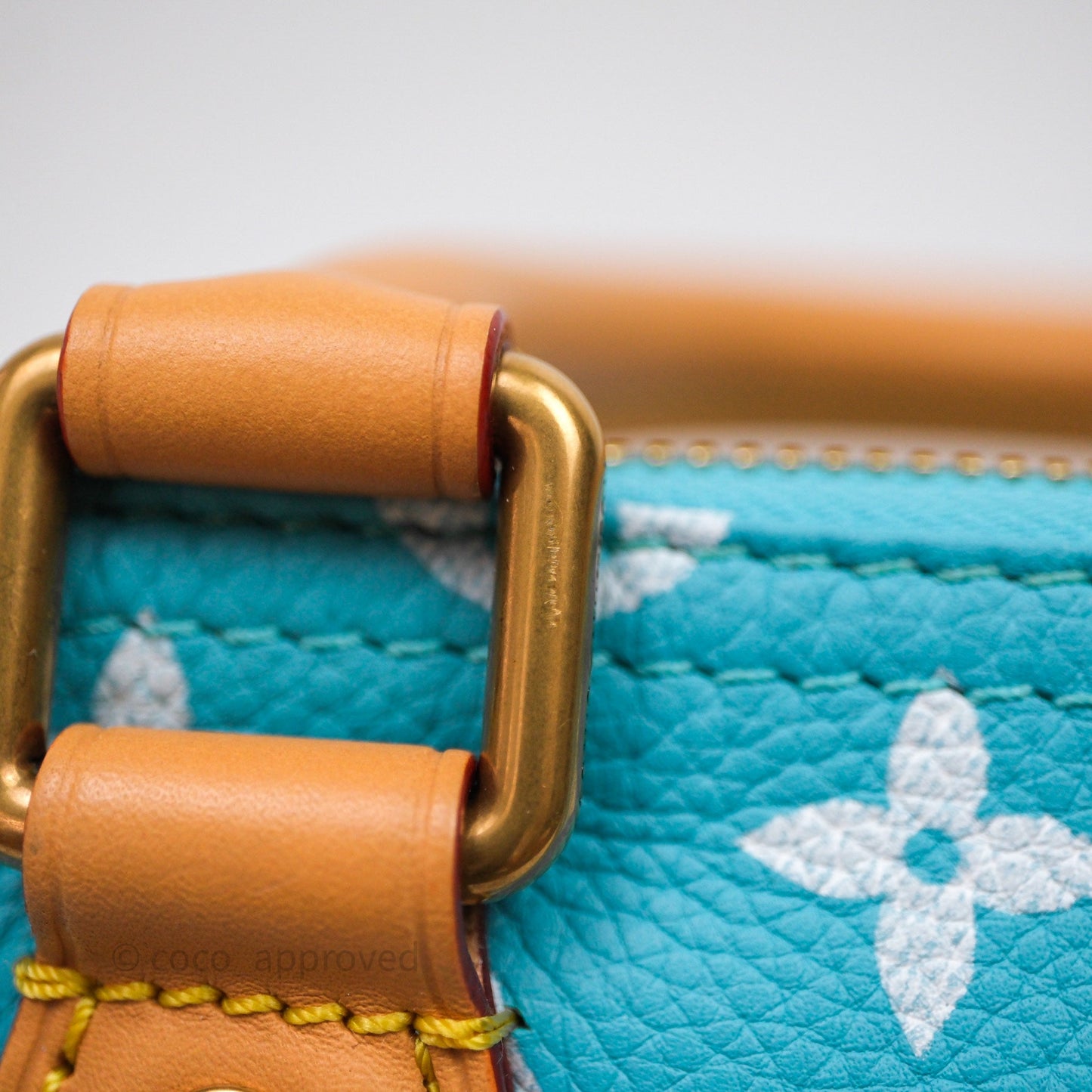 Louis Vuitton Speedy P9 Bandoulière 25 Turquoise
