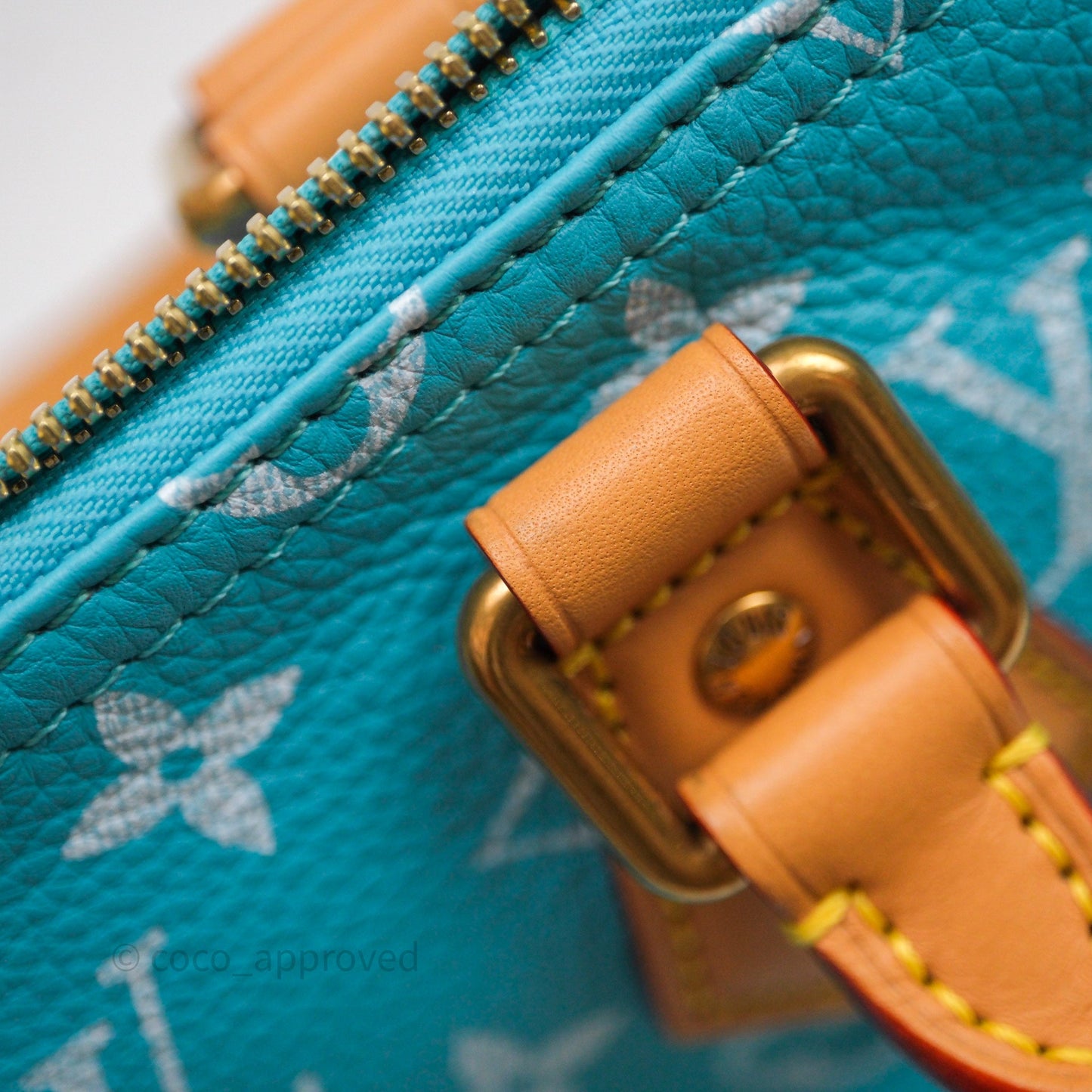 Louis Vuitton Speedy P9 Bandoulière 25 Turquoise