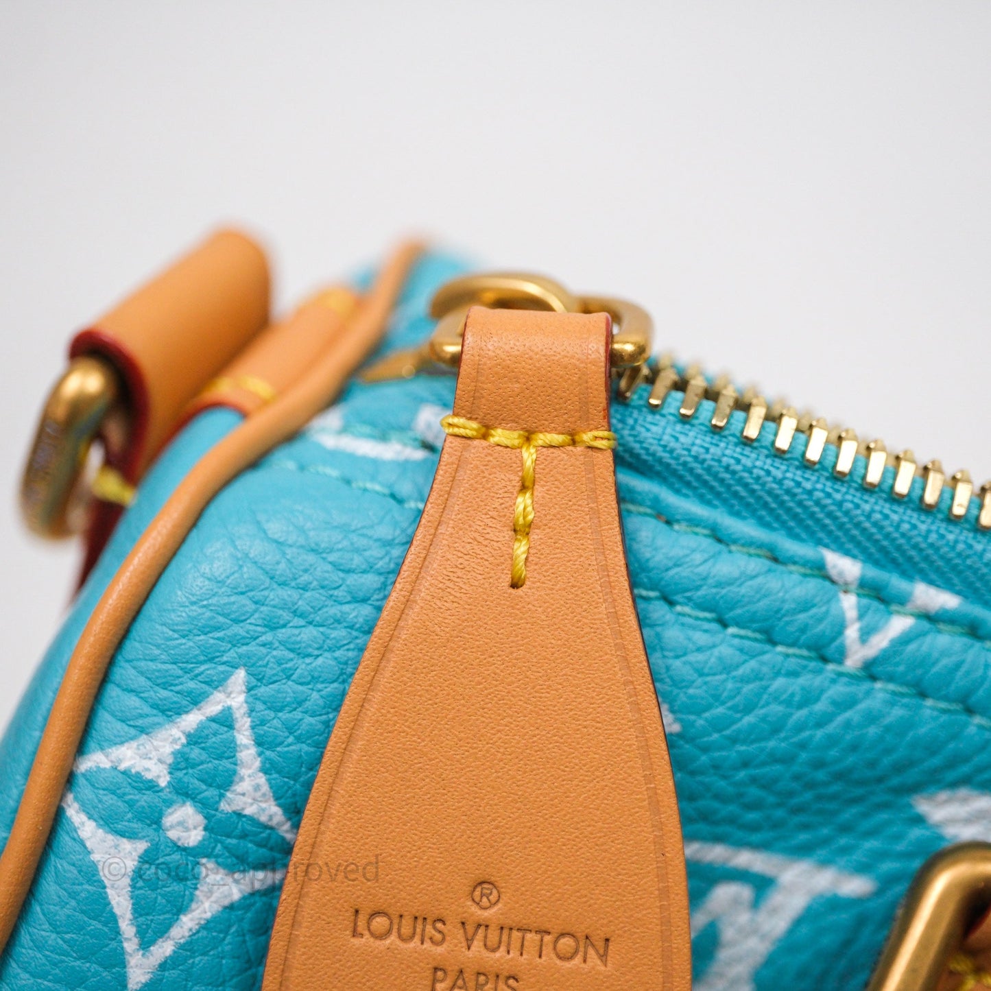 Louis Vuitton Speedy P9 Bandoulière 25 Turquoise
