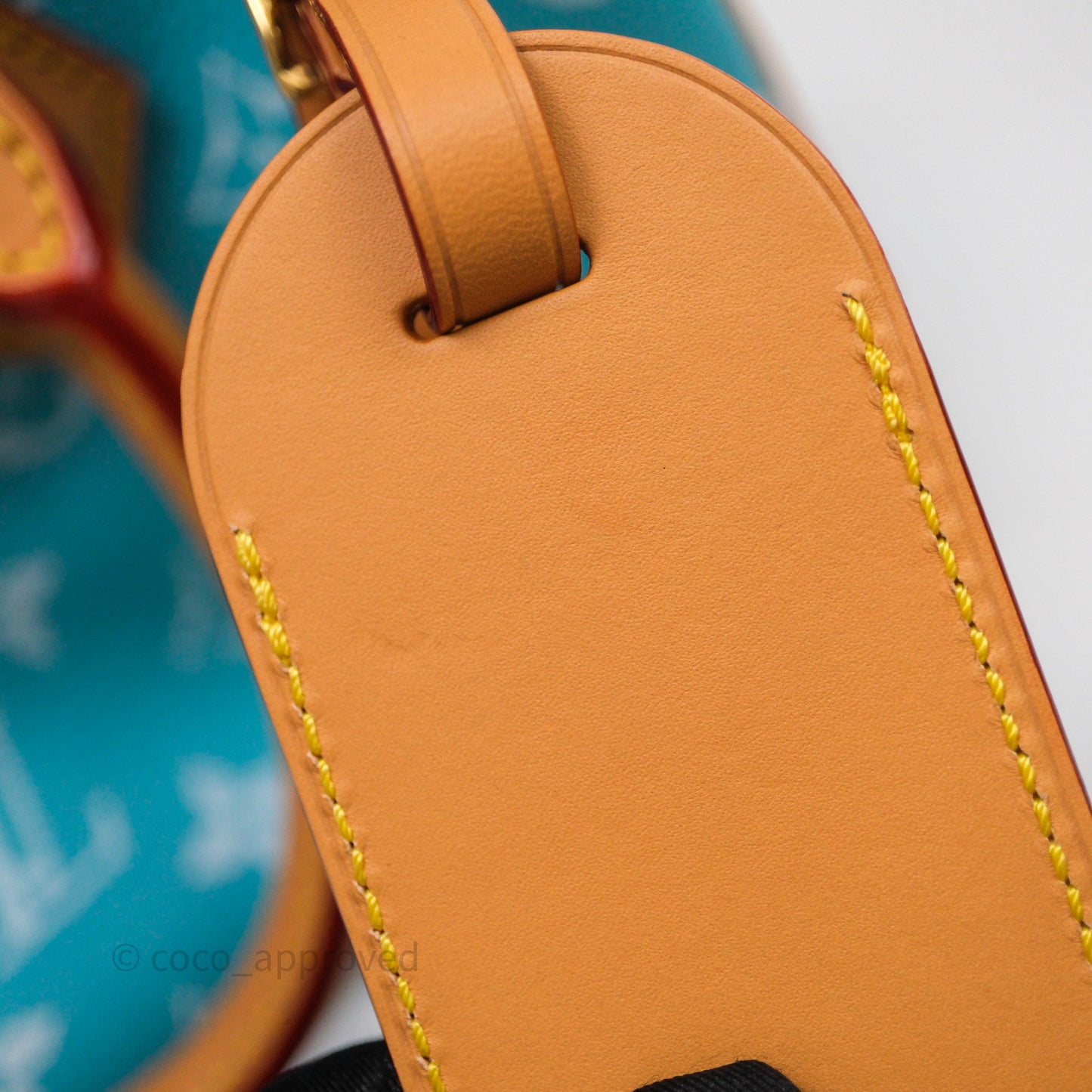 Louis Vuitton Speedy P9 Bandoulière 25 Turquoise