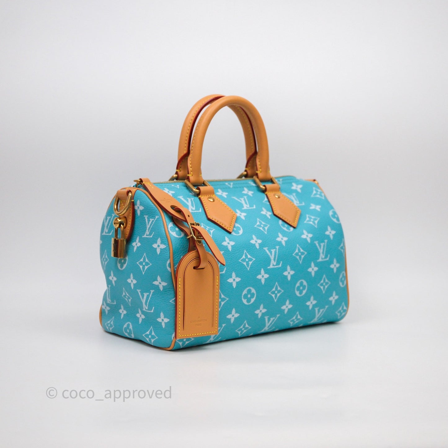 Louis Vuitton Speedy P9 Bandoulière 25 Turquoise