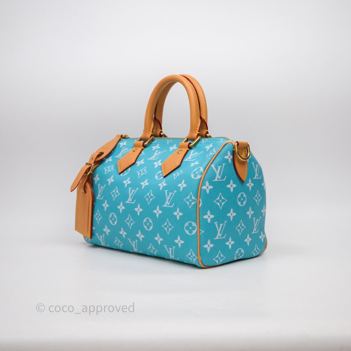 Louis Vuitton Speedy P9 Bandoulière 25 Turquoise