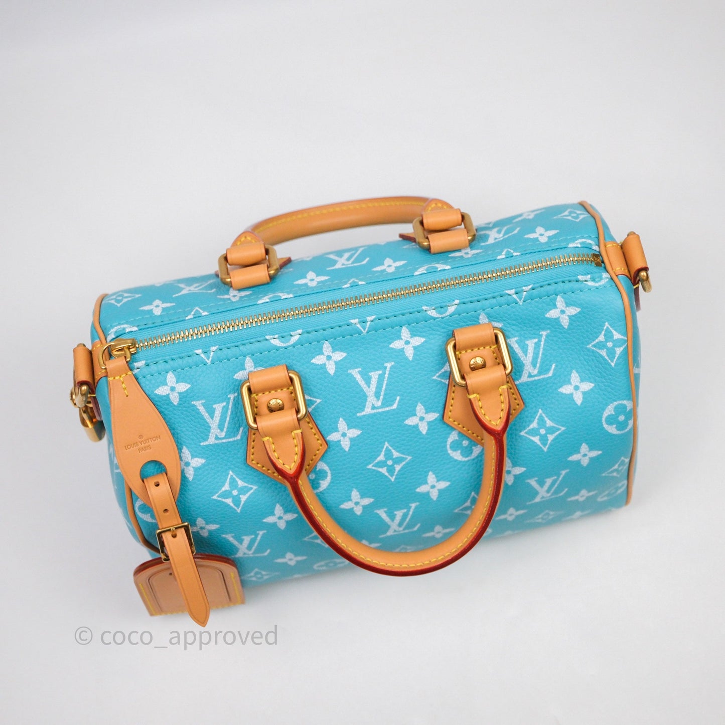 Louis Vuitton Speedy P9 Bandoulière 25 Turquoise