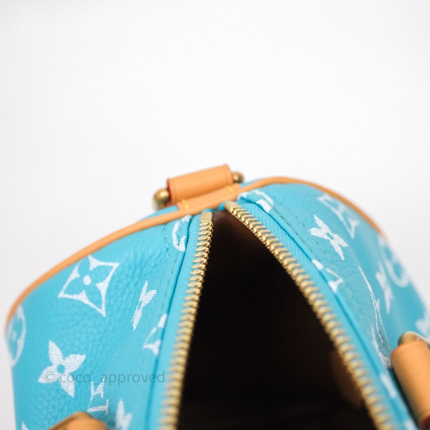 Louis Vuitton Speedy P9 Bandoulière 25 Turquoise