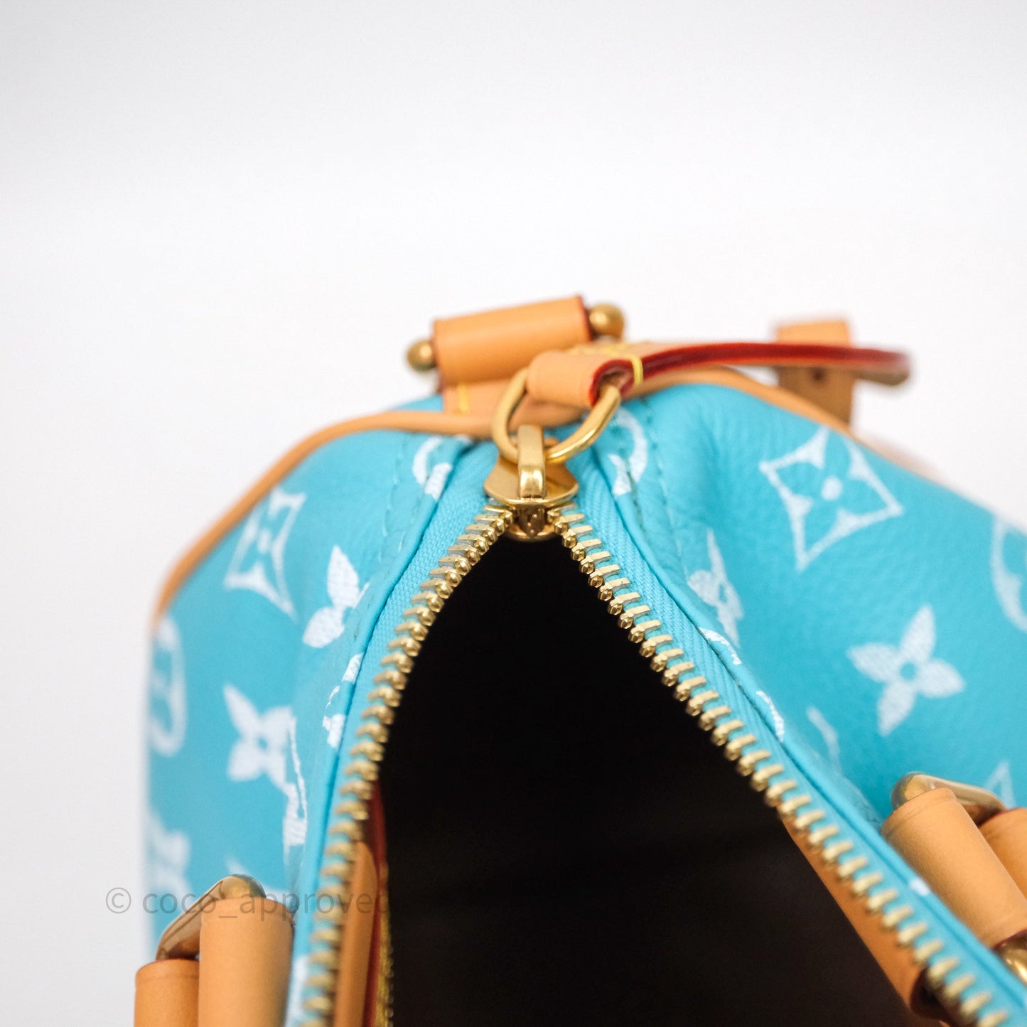 Louis Vuitton Speedy P9 Bandoulière 25 Turquoise