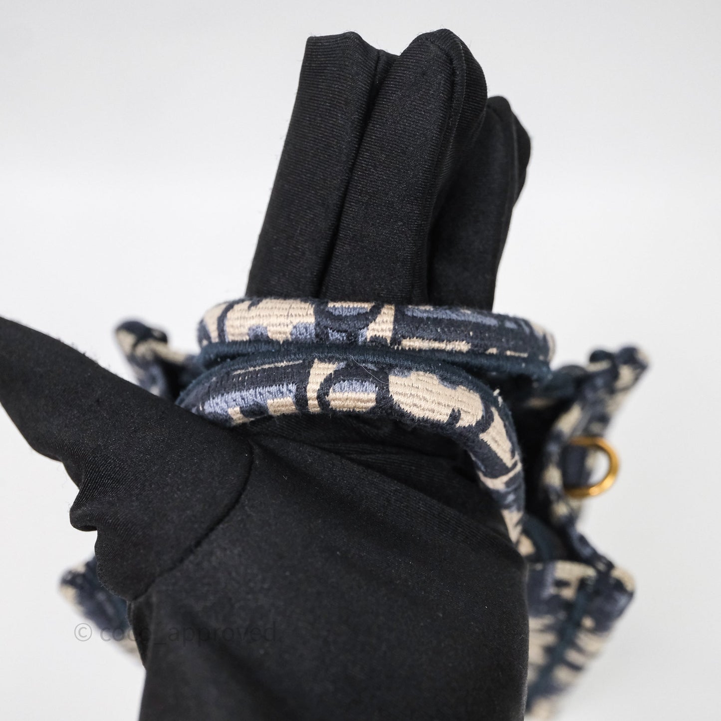 Christian Dior Mini Vertical Navy Oblique Embroidery Canvas Book Tote
