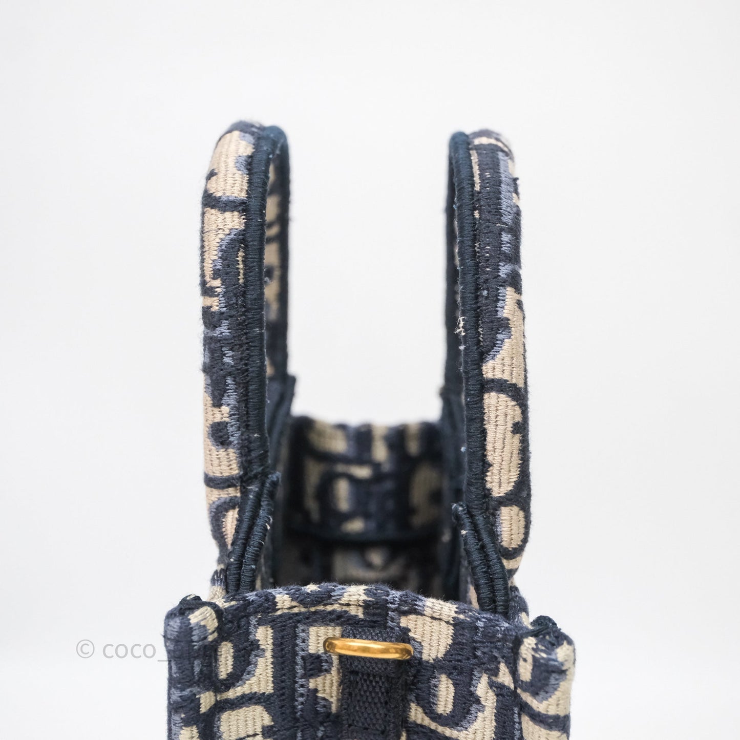 Christian Dior Mini Vertical Navy Oblique Embroidery Canvas Book Tote