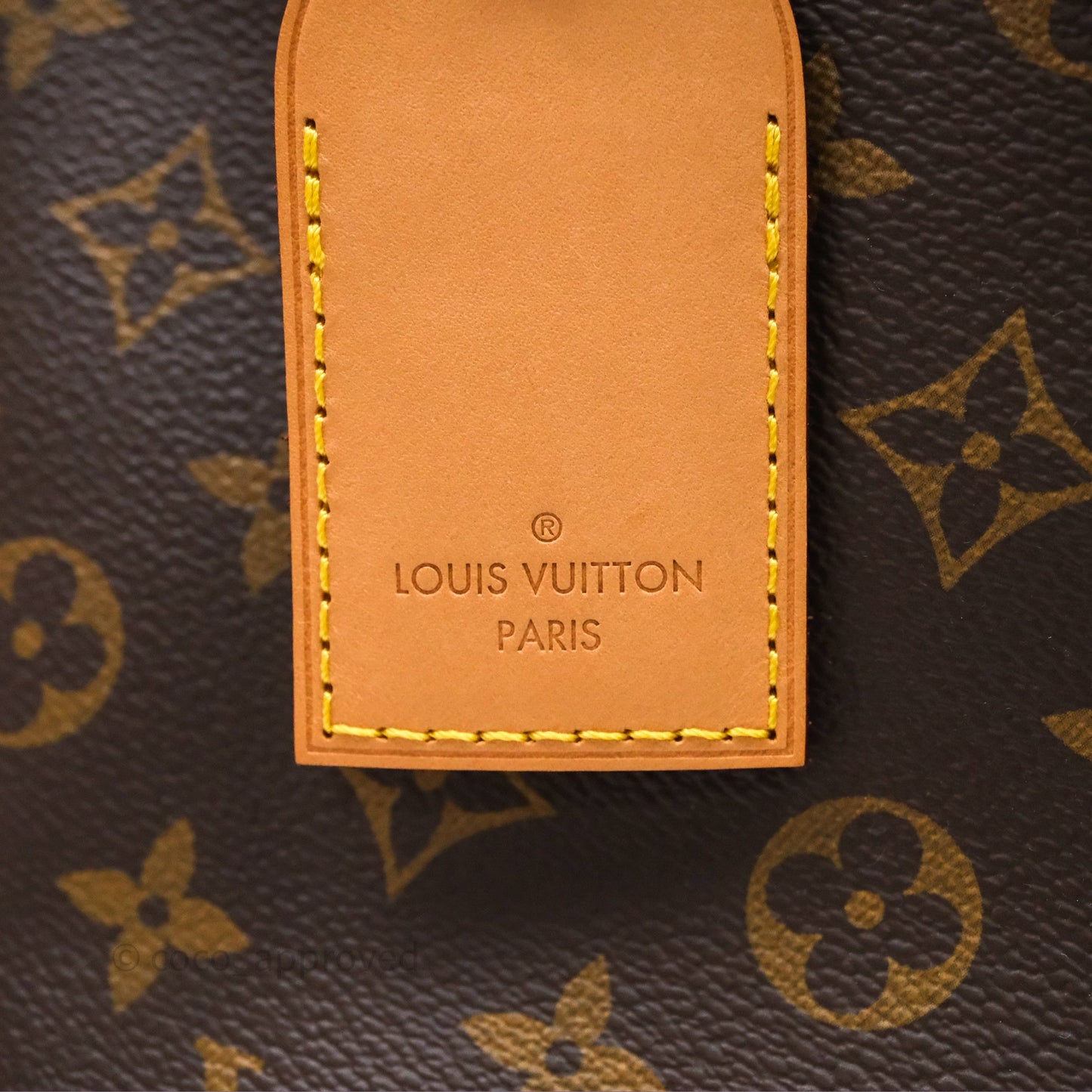 Louis Vuitton V Tote MM Monogram Canvas