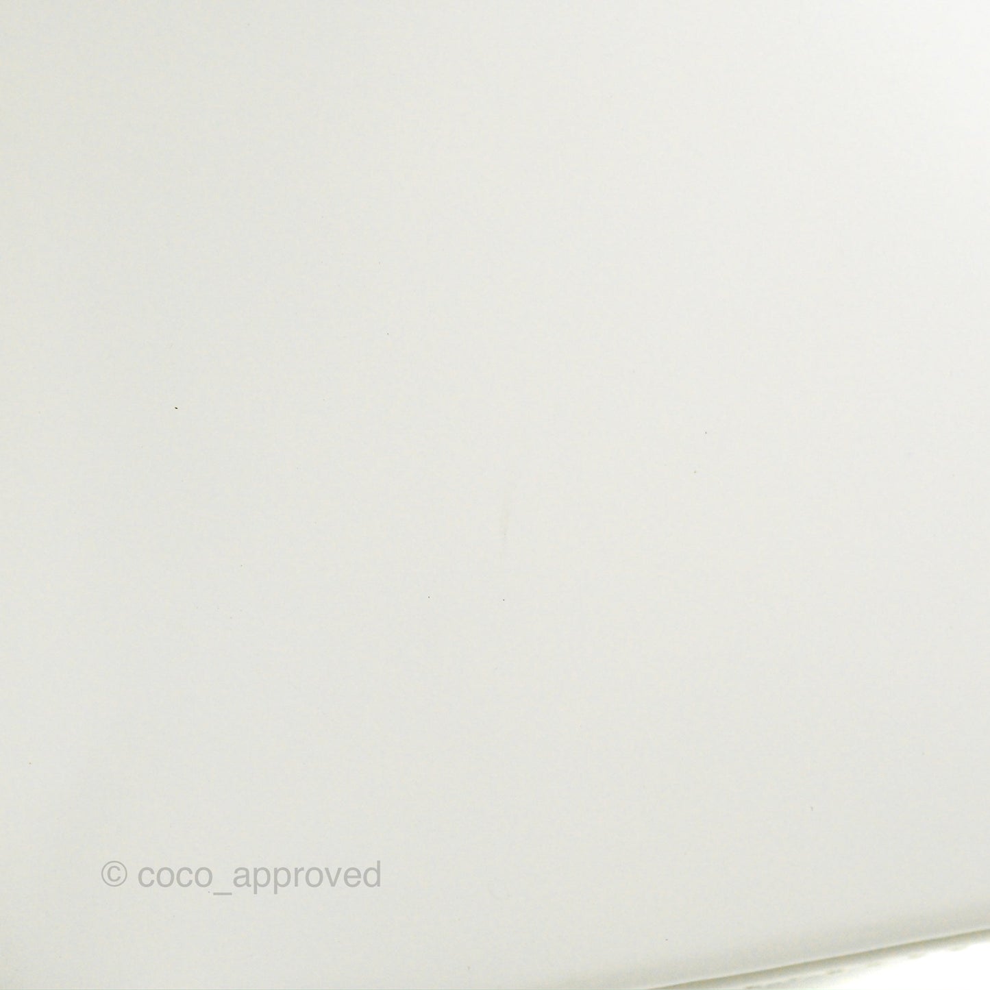 Christian Dior Lady Dior White Calfskin Silver Hardware
