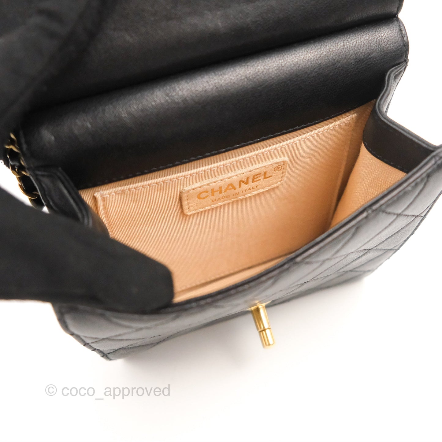 Chanel Small Pearl Flap Bag Black Calfskin Aged Gold Hardware
