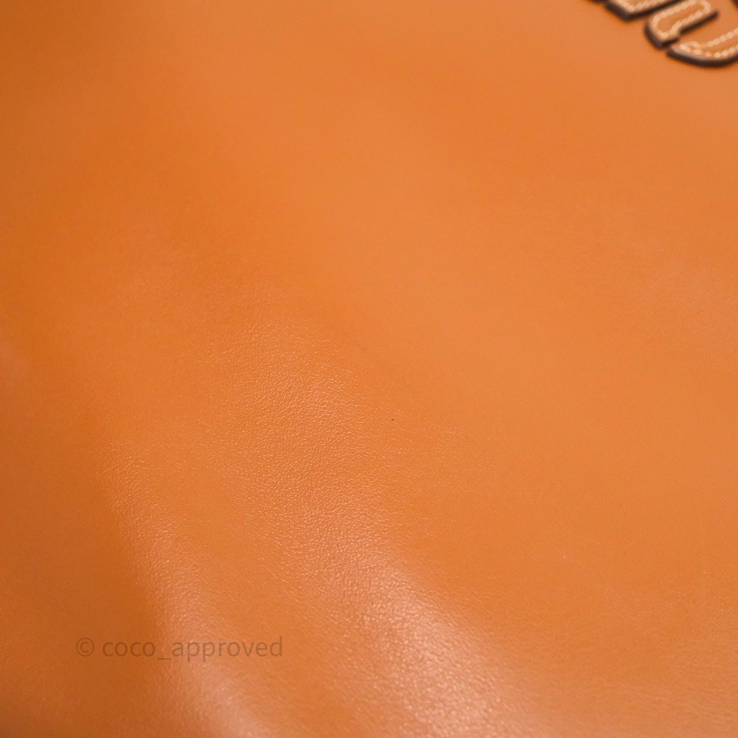 Miu Miu Ivy Leather Bag Brown