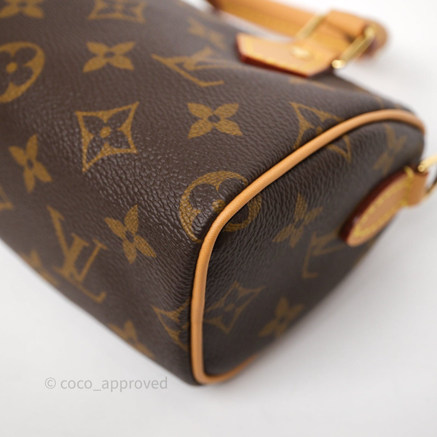 Louis Vuitton Nano Speedy Monogram