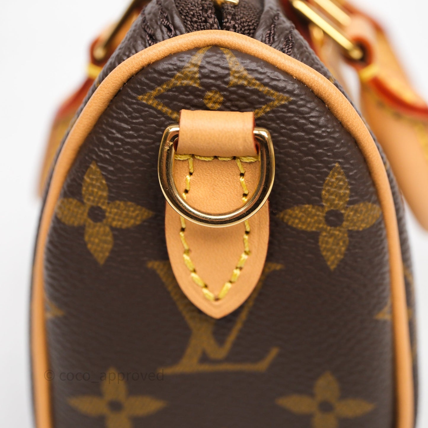 Louis Vuitton Nano Speedy Monogram