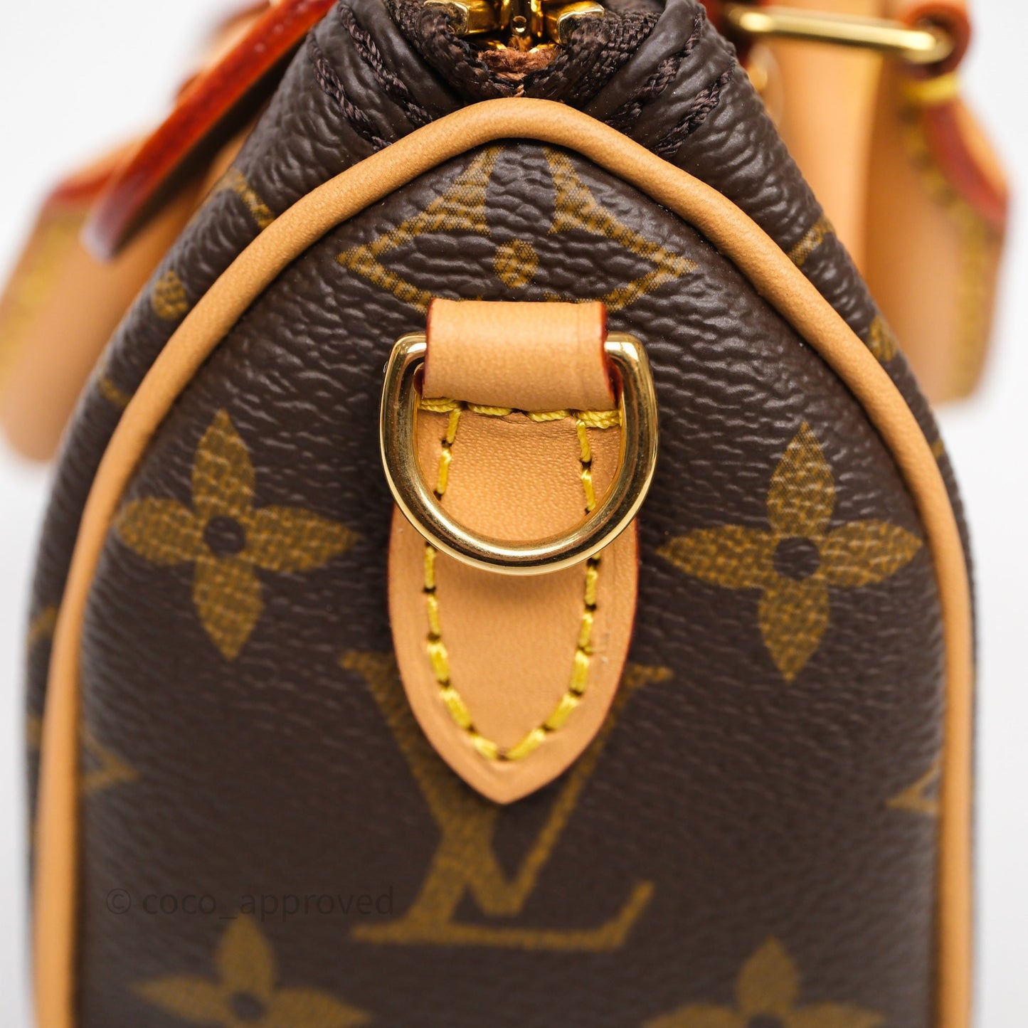 Louis Vuitton Nano Speedy Monogram