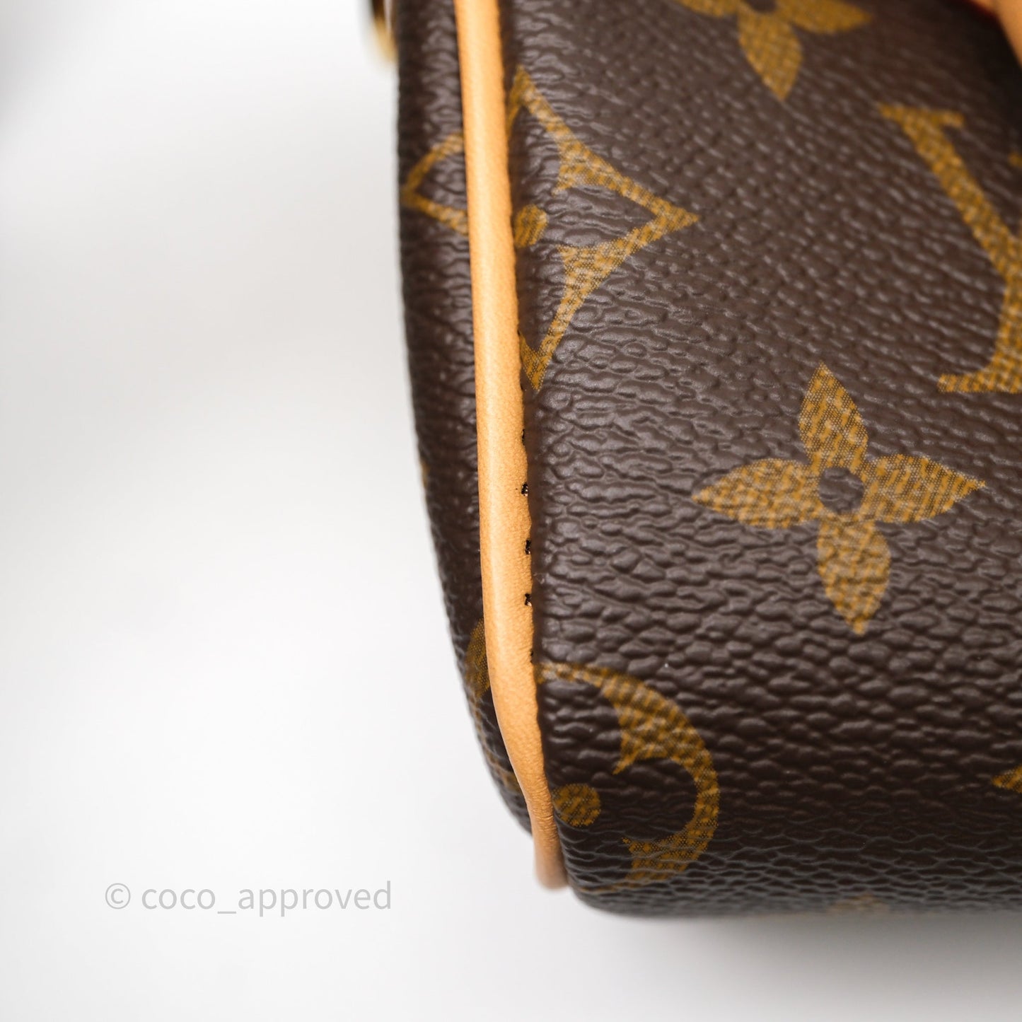 Louis Vuitton Nano Speedy Monogram