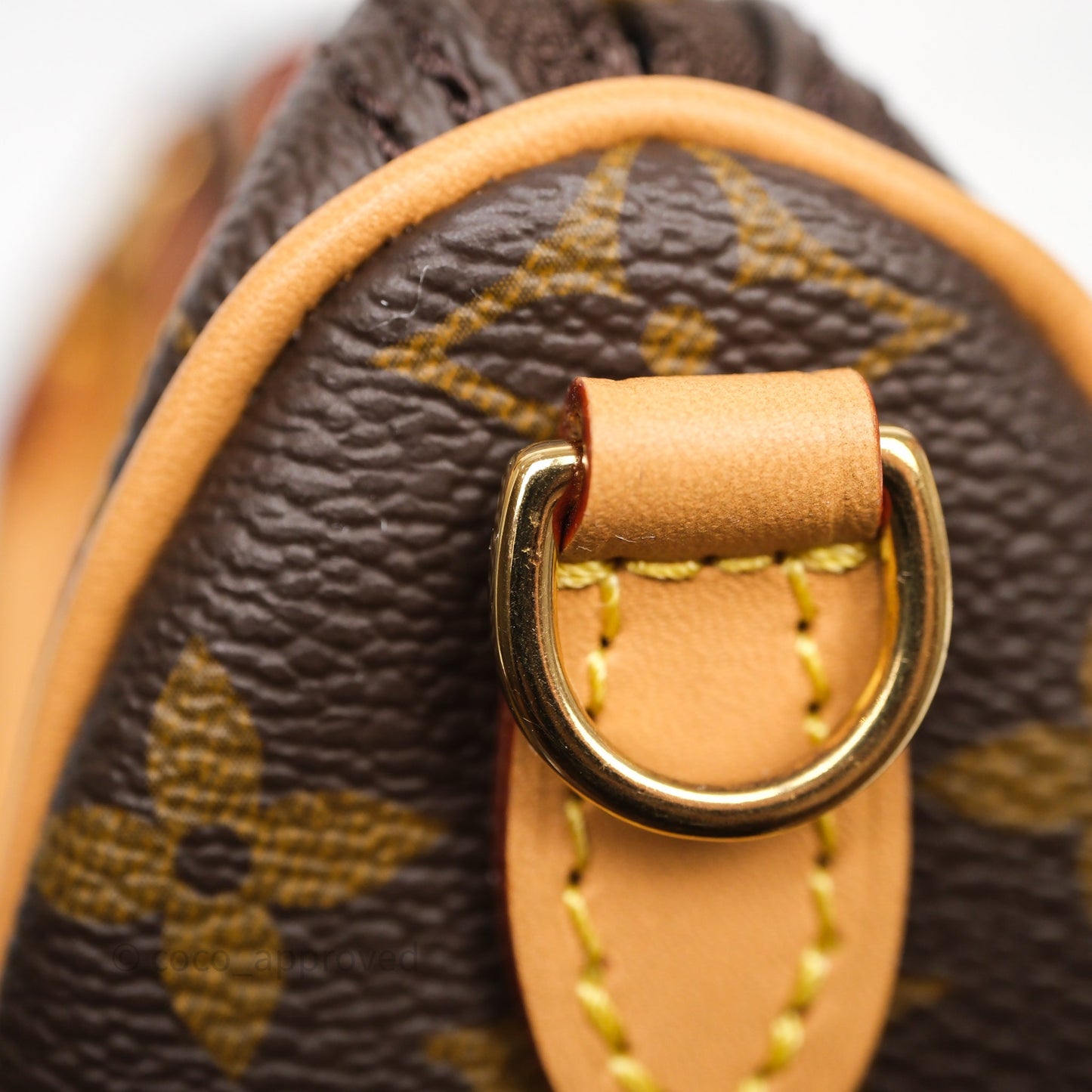 Louis Vuitton Nano Speedy Monogram