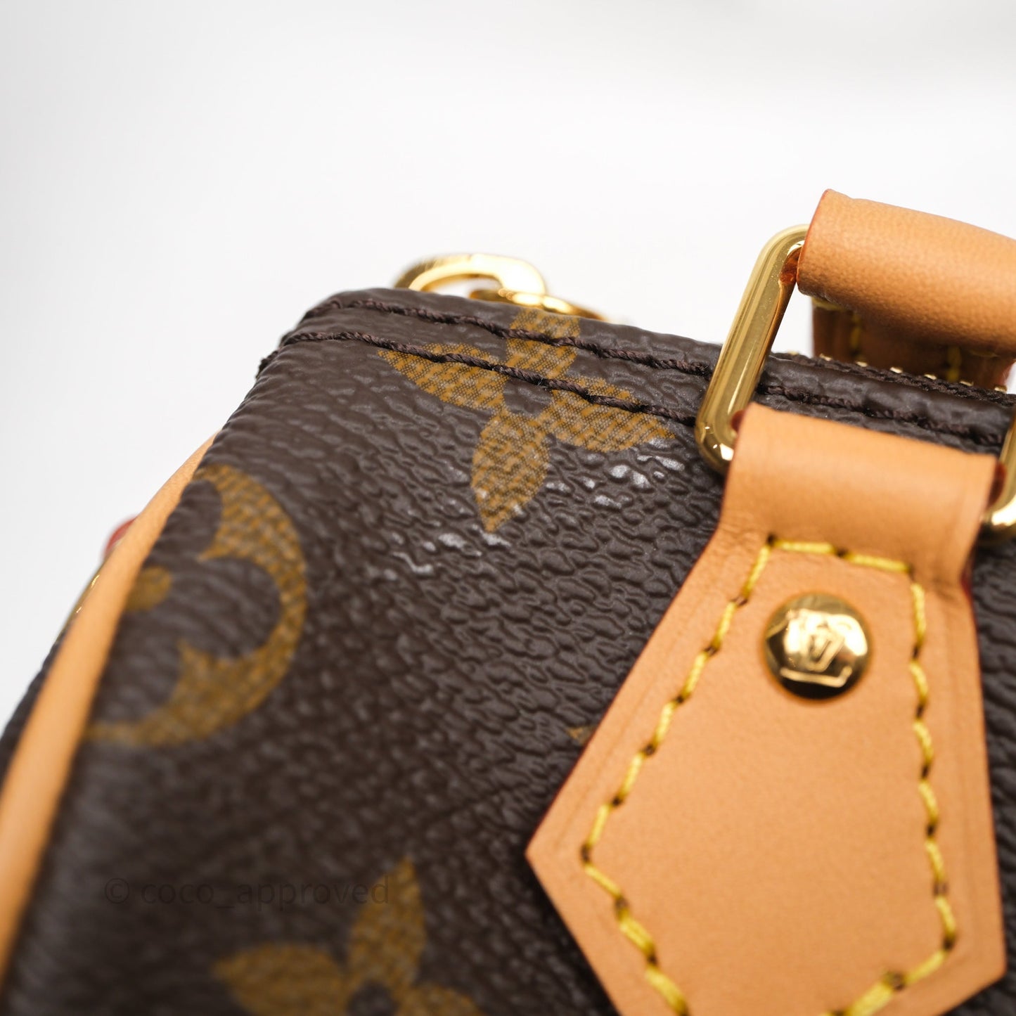 Louis Vuitton Nano Speedy Monogram
