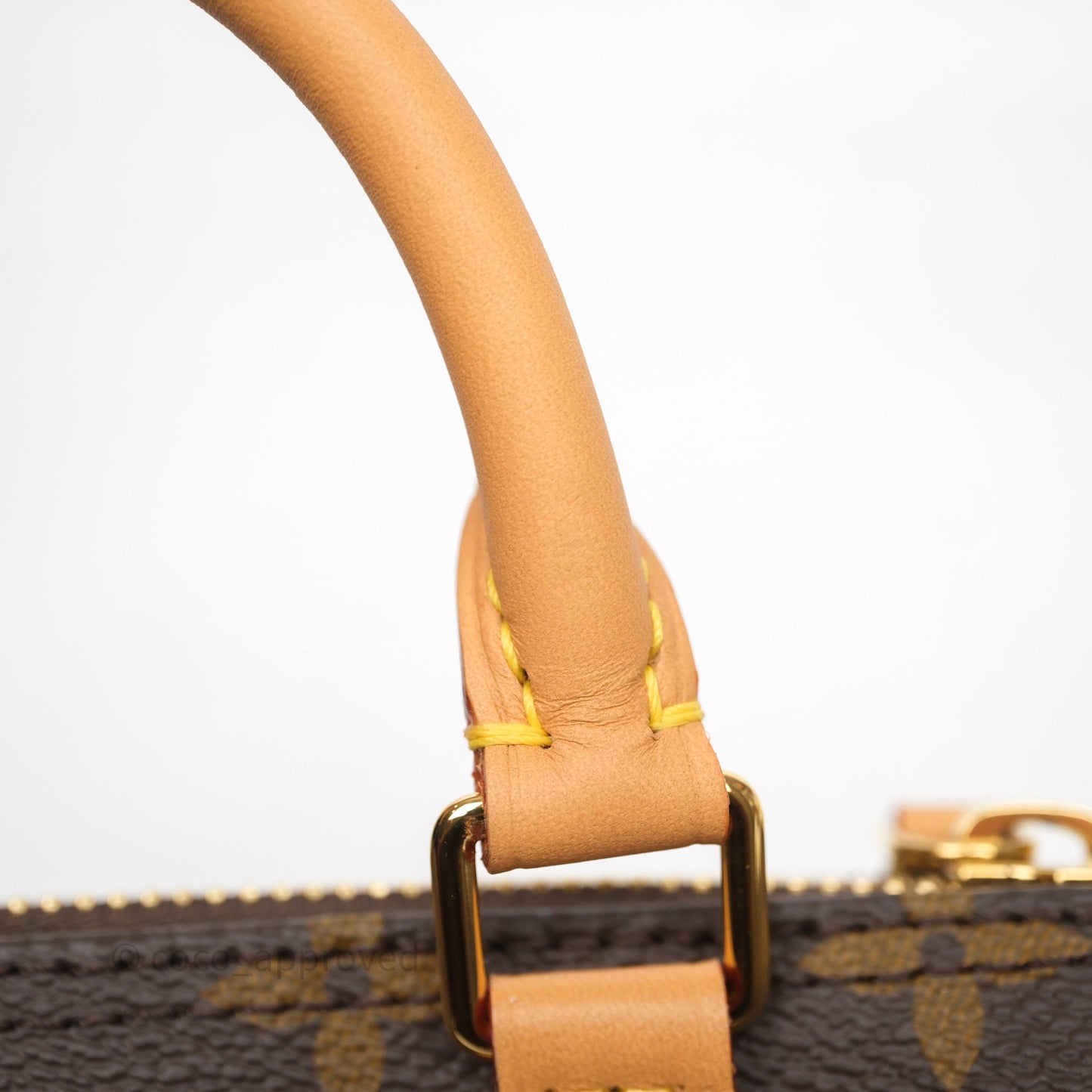 Louis Vuitton Nano Speedy Monogram