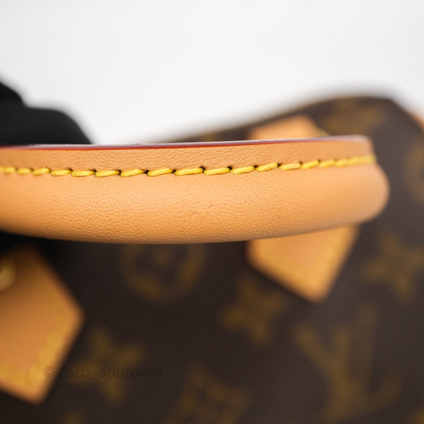 Louis Vuitton Nano Speedy Monogram
