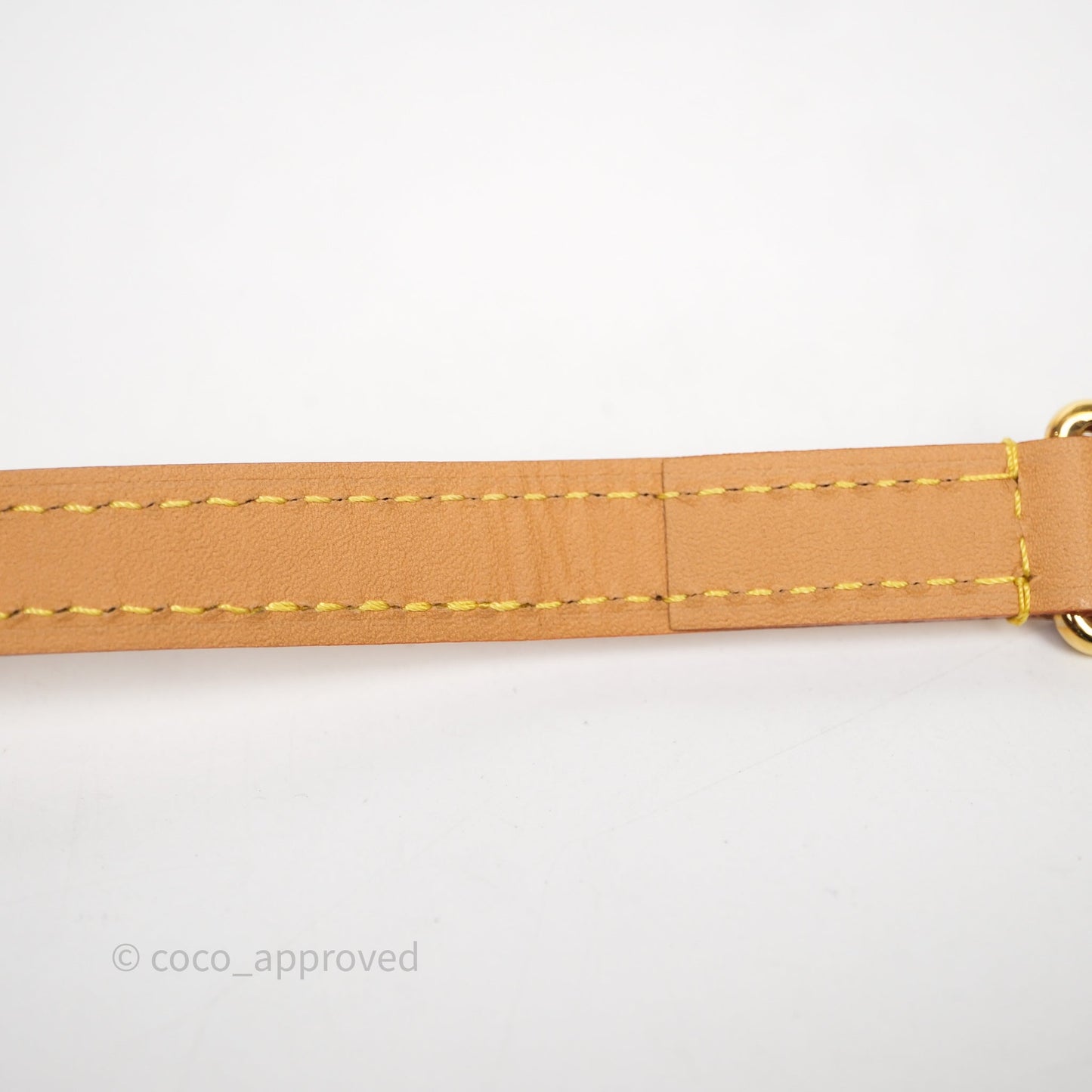 Louis Vuitton Nano Speedy Monogram