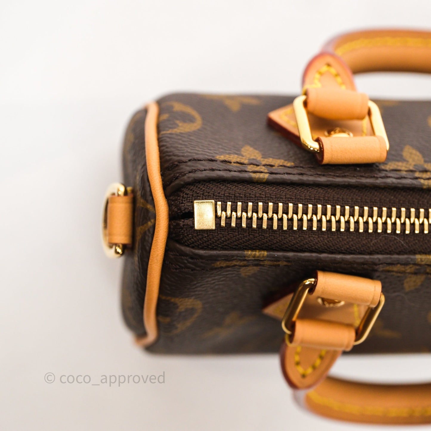 Louis Vuitton Nano Speedy Monogram