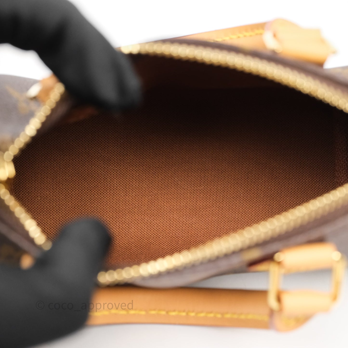 Louis Vuitton Nano Speedy Monogram