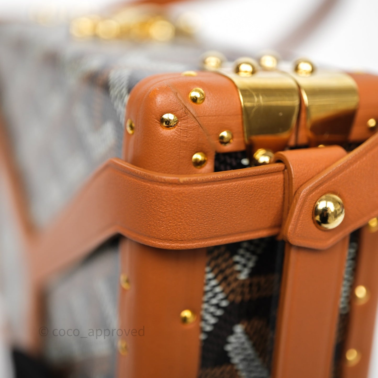 Goyard Minaudiere Trunk Bag Black & Tan