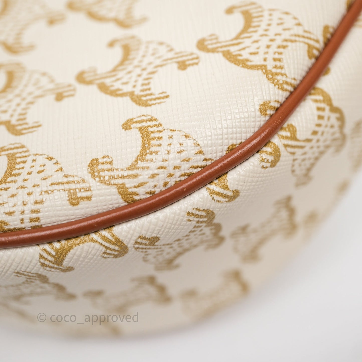 Celine Ava Bag In Triomphe Canvas Calfskin White