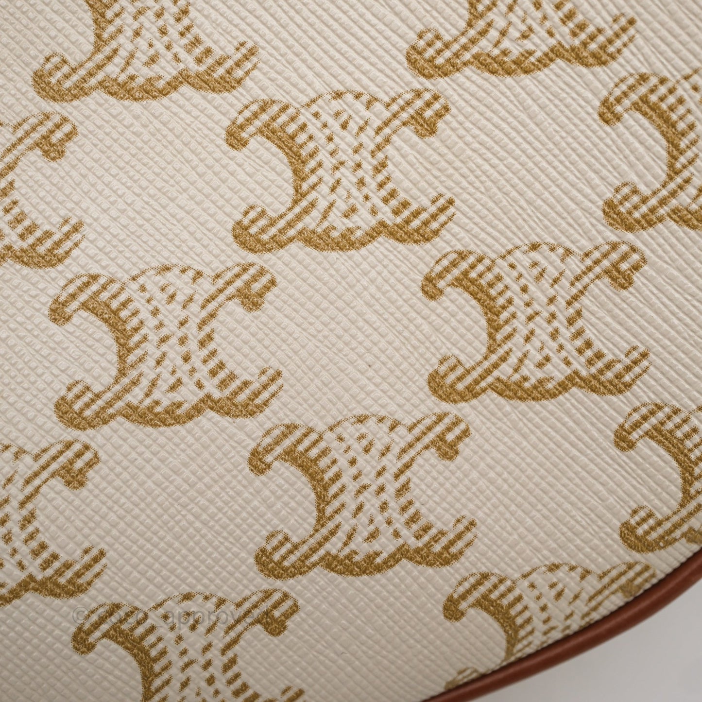 Celine Ava Bag In Triomphe Canvas Calfskin White