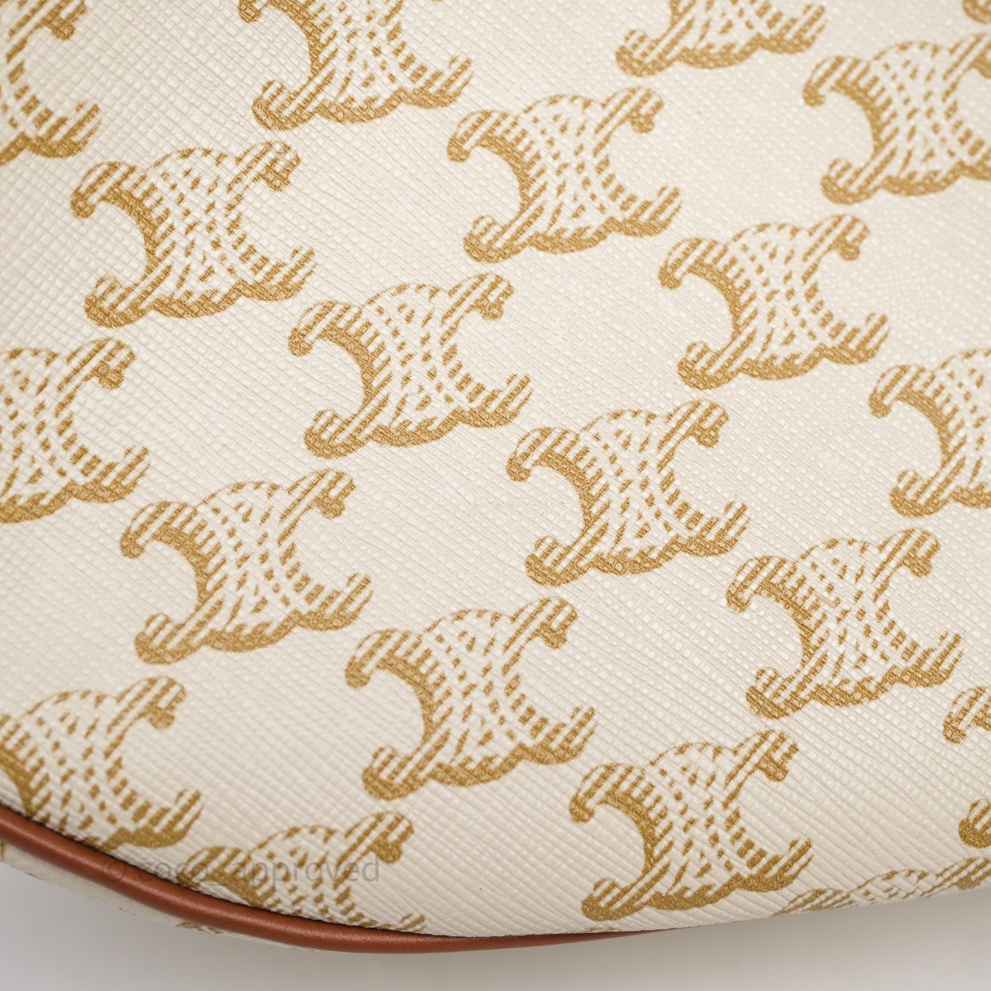 Celine Ava Bag In Triomphe Canvas Calfskin White