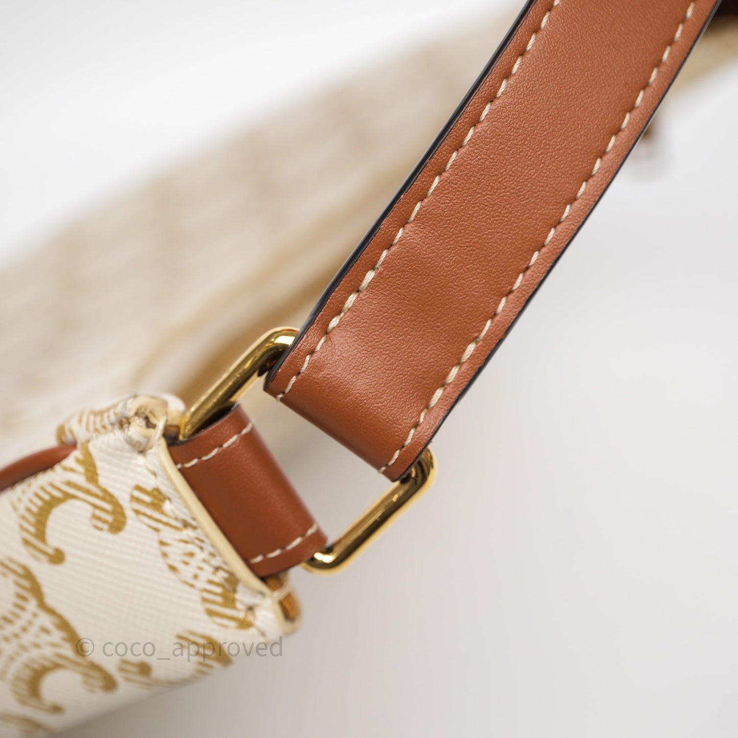 Celine Ava Bag In Triomphe Canvas Calfskin White