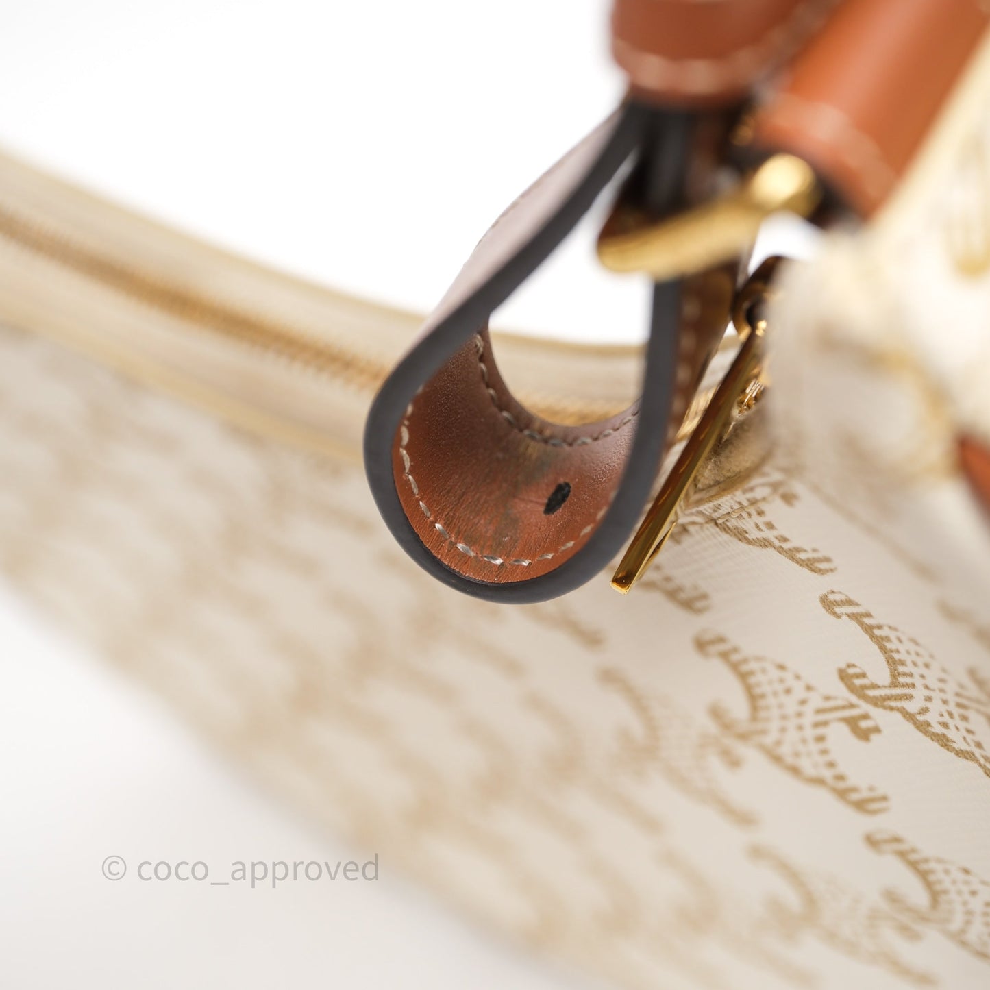 Celine Ava Bag In Triomphe Canvas Calfskin White