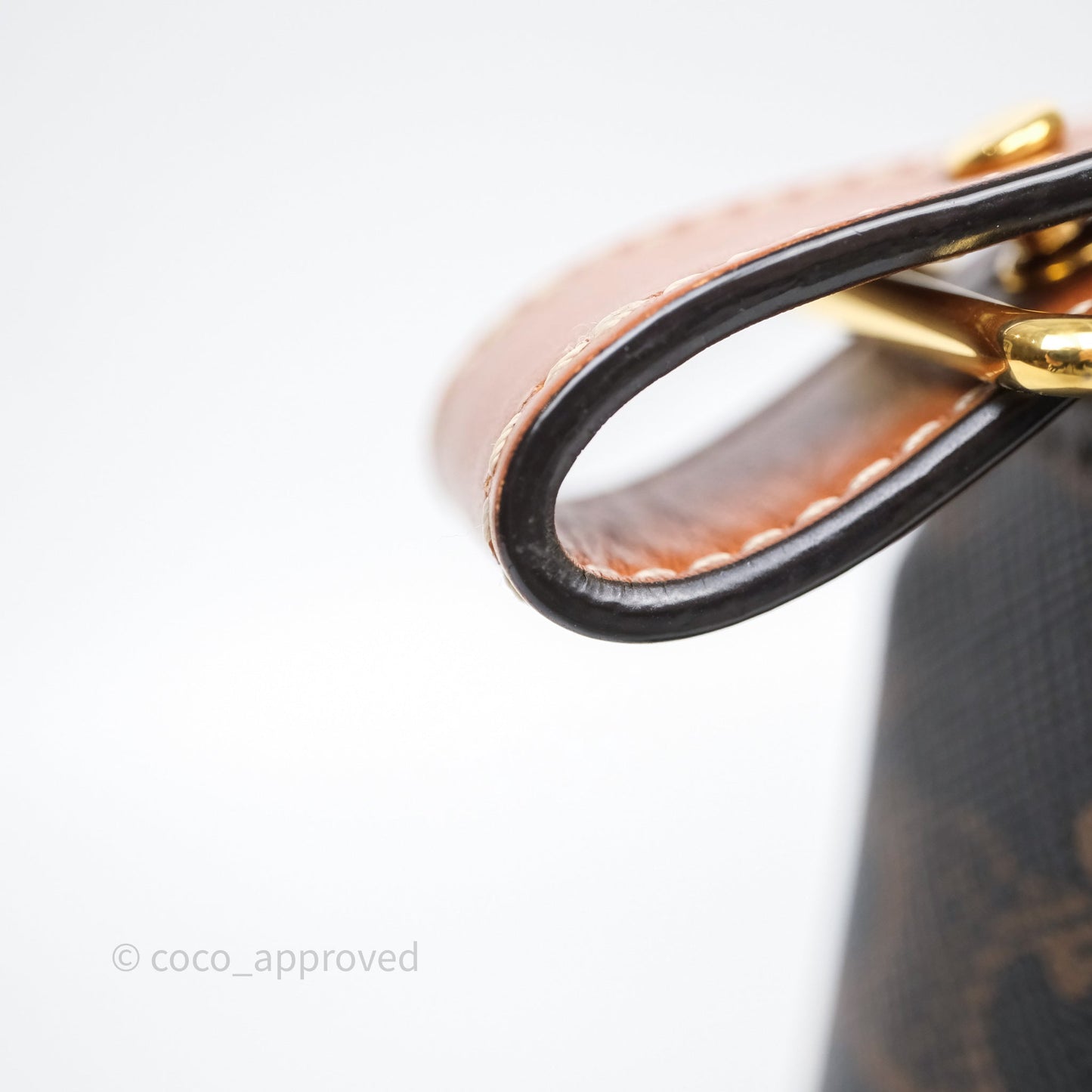 Celine Medium Ava Bag In Triomphe Canvas Calfskin Tan