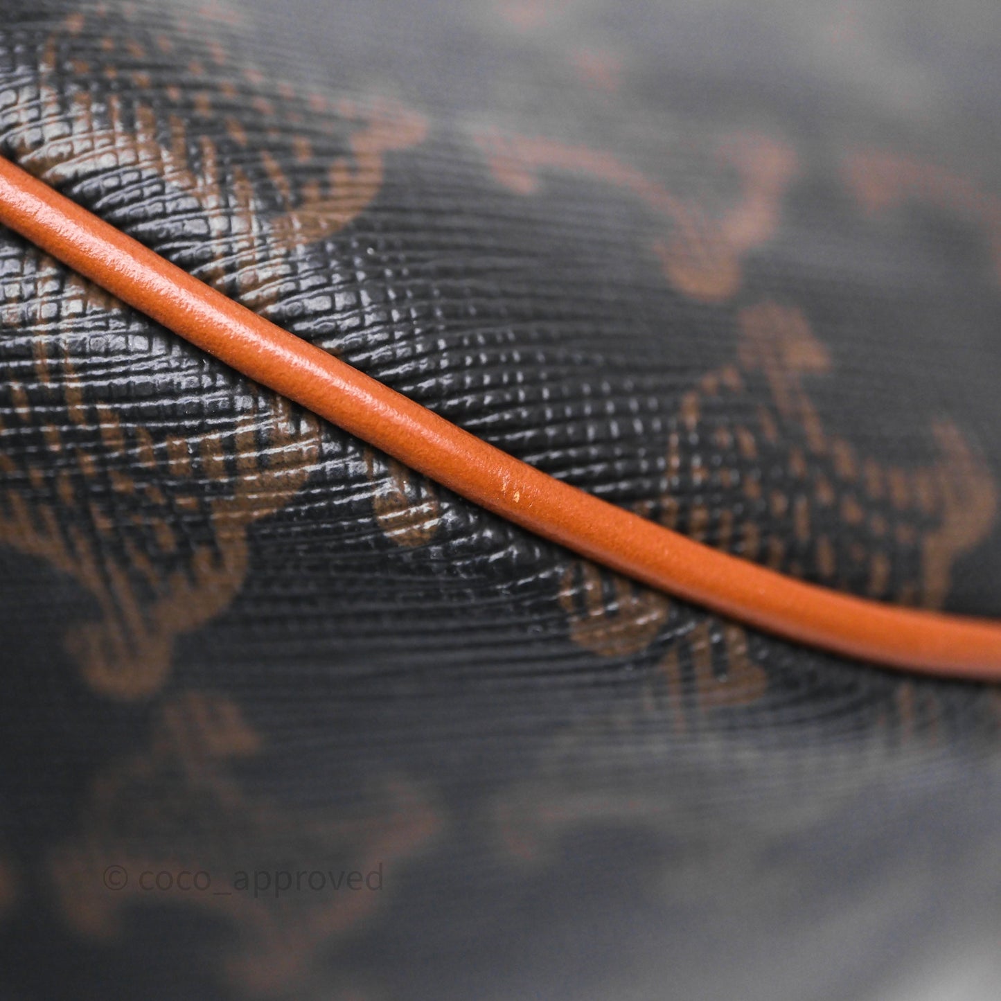 Celine Ava Bag In Triomphe Canvas Calfskin Tan