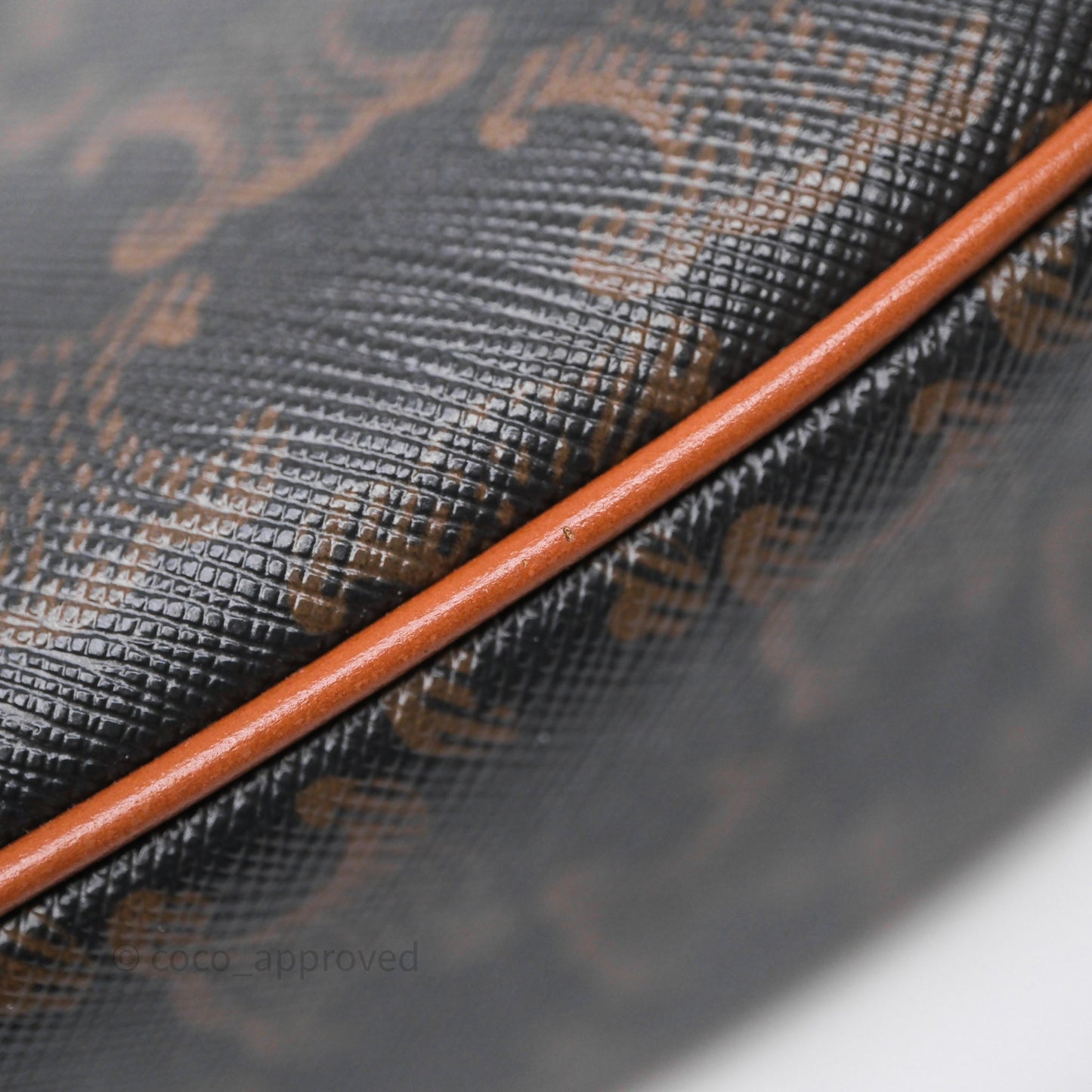 Celine Ava Bag In Triomphe Canvas Calfskin Tan