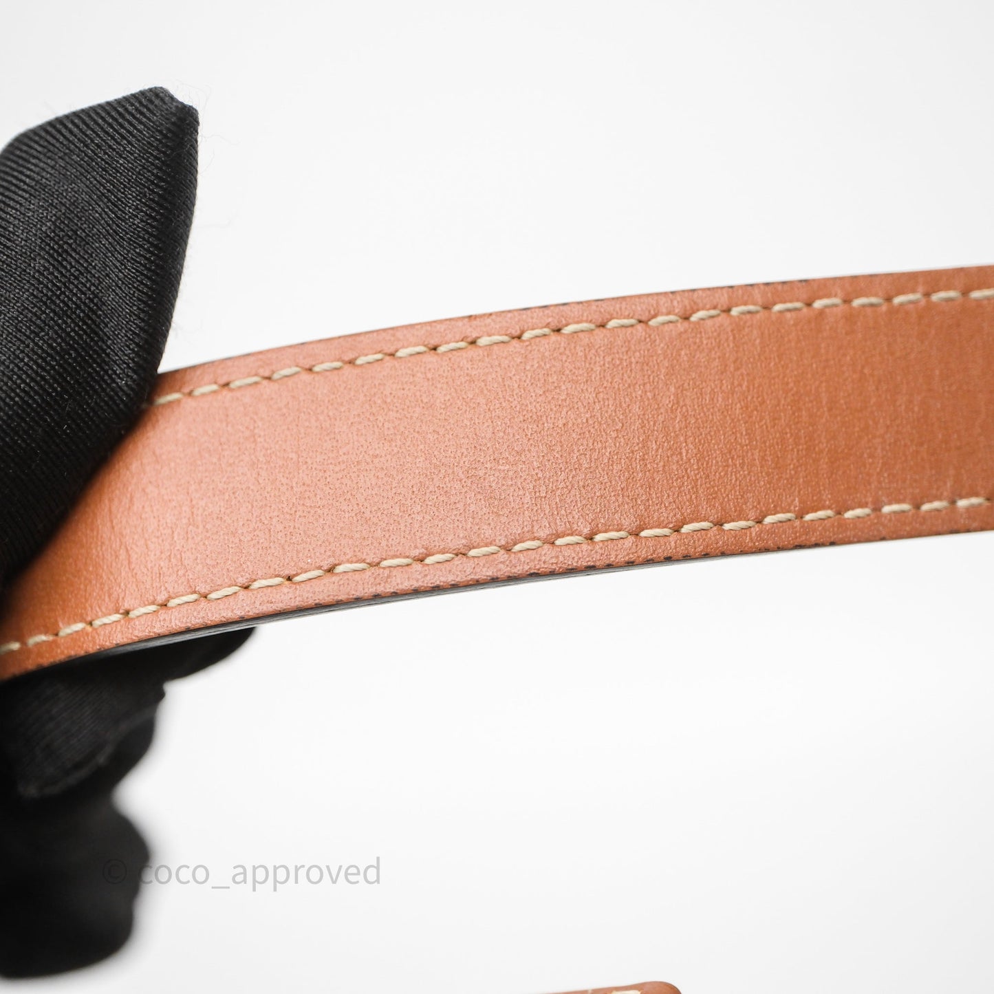 Celine Ava Bag In Triomphe Canvas Calfskin Tan